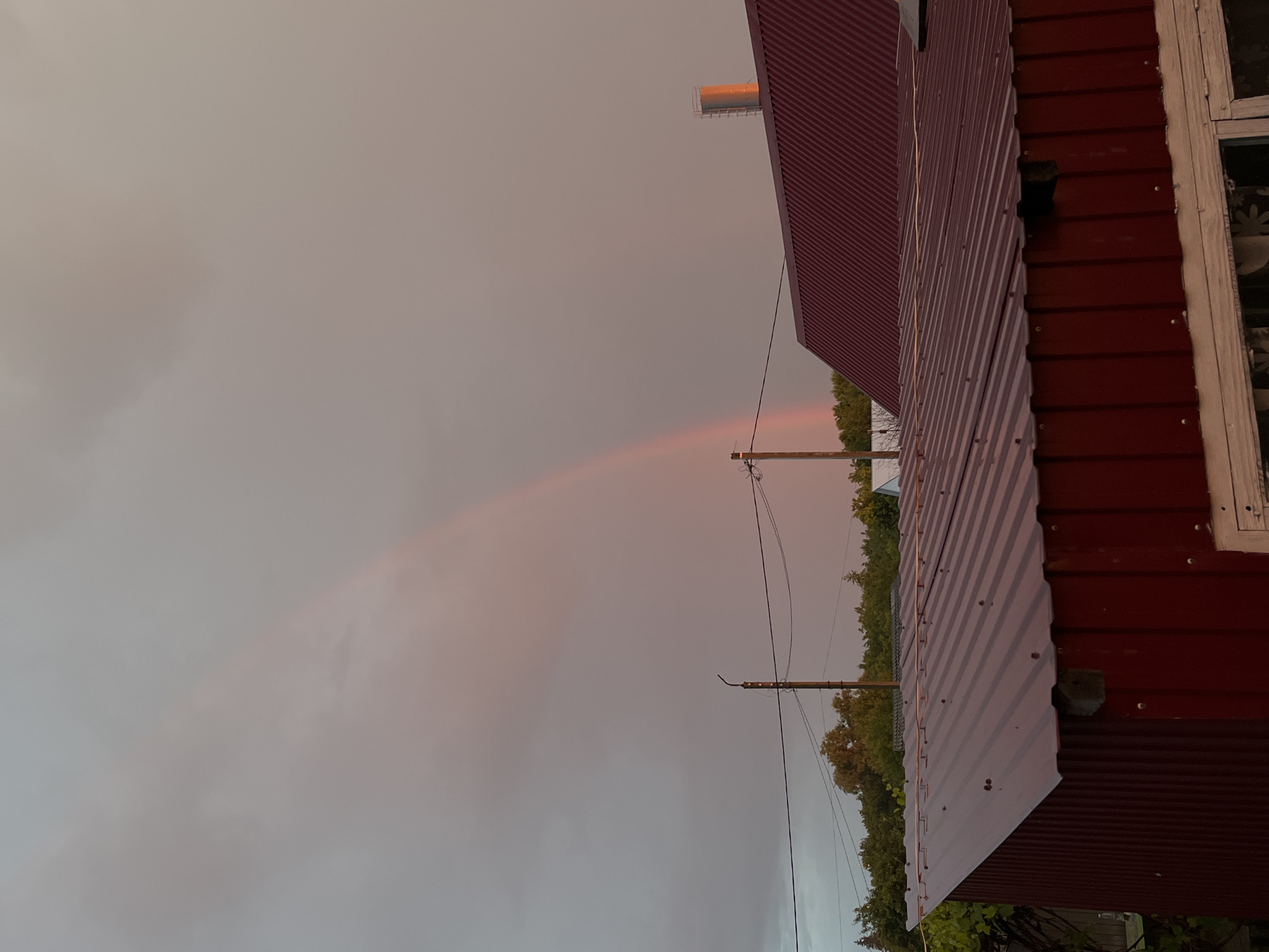 The image depicts an outdoor residential scene in the city of Novocheremshansk, Russia. The sky is predominantly overcast, transitioning from a neutral gray on the left to a soft, diffuse pink-orange glow on the right, indicative of either dawn or dusk. A faint, arcing rainbow, with its reddish hues most visible, traverses the upper-middle section of the sky from left to right.
Below the sky, a dense line of green deciduous trees forms the distant horizon. In the midground, two dark wooden utility poles with multiple sagging black electrical wires are prominent; the pole on the left features an angular black fixture at its apex.
The lower half of the image is dominated by two structures with dark red corrugated metal roofs. The closest structure, positioned in the lower-left to mid-right, is an outbuilding or shed with a steeply pitched, ridged roof secured by visible fasteners. A small, dark rectangular opening is observed directly under its eaves on the left side. A segment of a white-framed window is partially visible at the bottom edge. Behind this, a larger building, likely a house, also features a dark red corrugated metal roof with a shallower pitch. On the far right edge of this larger roof, a reflective cylindrical metal structure with an attached ladder stands vertically, catching the pink light from the sky.