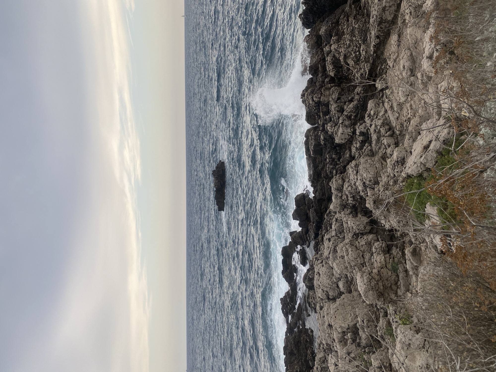 The image depicts a rocky coastline with the sea and sky. In the foreground, rough, light-colored rocks are interspersed with dry, thorny vegetation. These rocks lead down to the choppy, dark blue sea. Waves crash against the rocks, creating white foam. Further out at sea, a small, dark rock formation is visible, and in the distance, a single white sailboat can be seen on the horizon. The sky is overcast with a gradient of light grey to pale blue, with some wispy white clouds. The scene appears to be set in Antibes, France, likely along the coastal path or a rocky beach area.