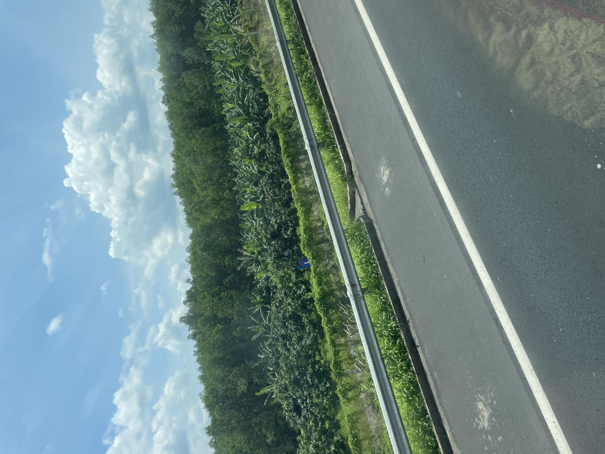 The image shows a view from a vehicle traveling on a highway, looking out towards lush green vegetation and the sky. The scene is oriented vertically, suggesting the photo was taken with the phone held sideways.
The dominant subjects are the dense green foliage, consisting of trees and possibly banana plants, which line the side of the highway. A metal guardrail separates the road from the greenery. The road itself is dark asphalt with a white line marking a lane. In the distance, within the vegetation, a small, bright blue object is visible, possibly a sign or marker. The sky above is a bright blue with large, fluffy white clouds, indicating fair weather. The sunlight suggests it is daytime, likely mid-morning or afternoon.
The overall impression is one of a journey through a rural or semi-rural area with abundant plant life, characteristic of a tropical or subtropical region. The smooth, grey asphalt and white line indicate a well-maintained road, typical of a highway. No specific activity is captured, other than the implied motion of travel. The image conveys a sense of openness and the natural beauty of the landscape.
The provided location context, Dong Nai City, Vietnam, aligns with the visual cues of a tropical environment with extensive greenery and possibly the type of road infrastructure depicted. No legible text is visible in the image.
