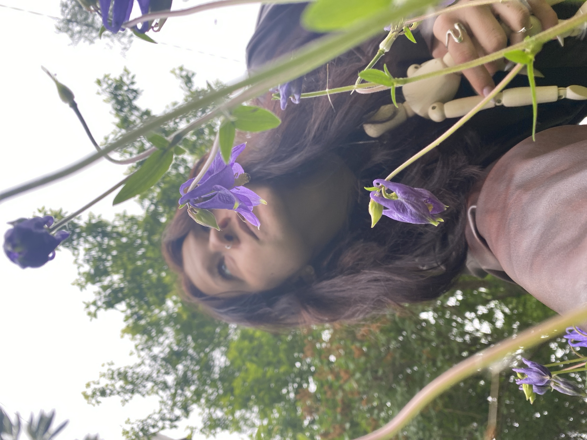 The image presents an outdoor scene captured from a low angle, looking upwards through vibrant foliage. The main subject is a person, likely a young woman with long, dark brown hair, positioned towards the center. Her face is partially visible, tilted upwards, revealing a nose piercing and a calm, contemplative expression. She wears two silver rings on her right hand, which gently holds a small, light-colored, jointed wooden art mannequin.
Several purple/lavender flowers, resembling Columbine (Aquilegia), dominate the foreground. These flowers, along with their green stems and leaves, are captured with a shallow depth of field, appearing slightly out of focus and framing the person's face and hand. Both fully bloomed flowers and closed buds are visible.
The background consists of a bright, diffused sky, indicating daytime and possibly overcast weather, transitioning into soft, blurred green foliage from trees or bushes. The overall lighting is even and lacks harsh shadows.
The activity depicted is subtle; the person is looking upwards, possibly observing the flowers or the sky, while interacting with the wooden mannequin. The unique low perspective and the framing by the flowers create an intimate and naturalistic feel. This photograph was taken in Chaikovsky, Russia. There is no visible text in the image.