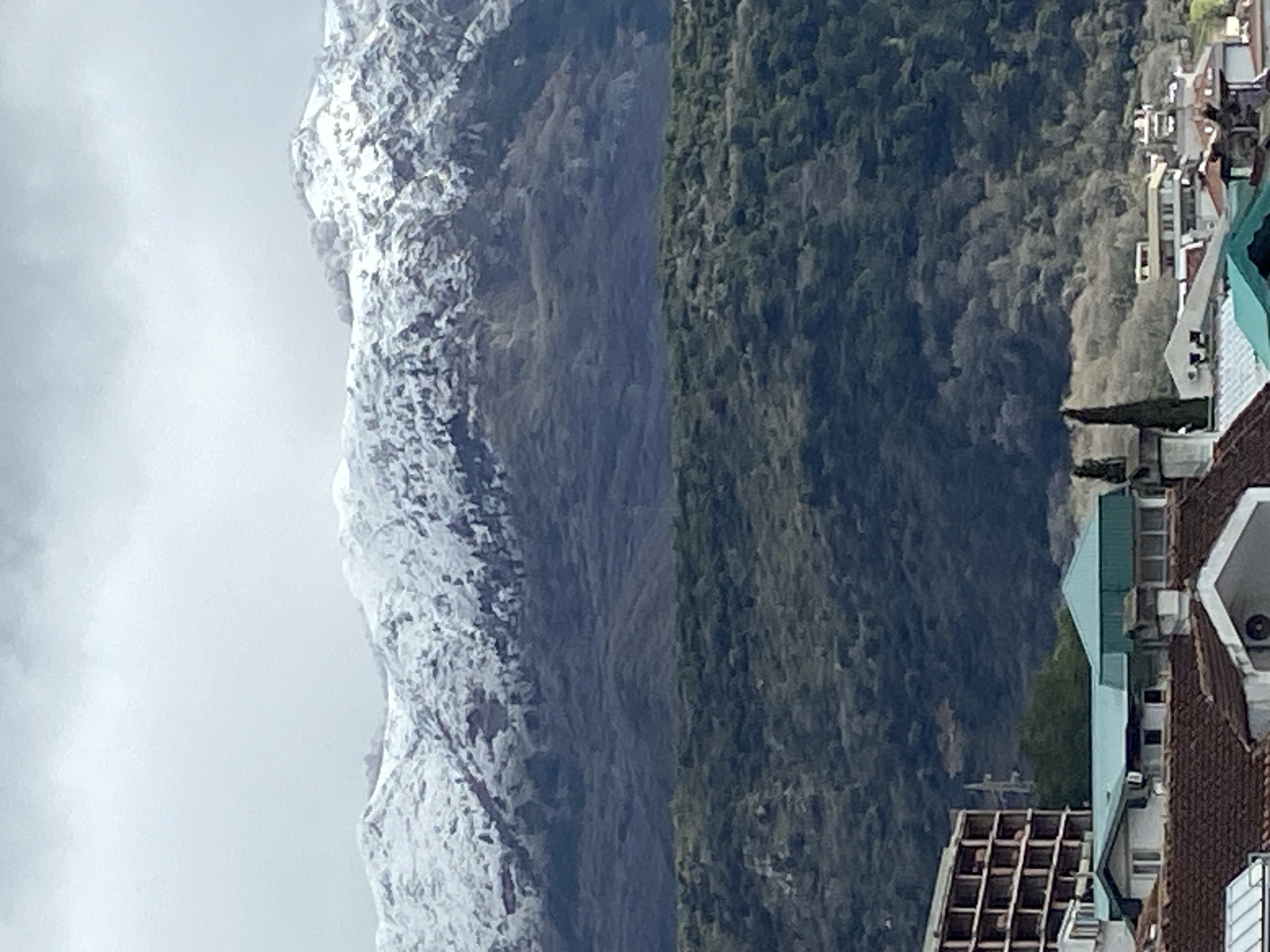 The image displays a multi-layered landscape view from the city of Budva, Montenegro, under an overcast sky. The background is dominated by a snow-capped mountain range, with white snow covering the upper peaks and slopes, interspersed with darker patches of exposed rock or sparse vegetation. Above the mountains, the sky is uniformly grey and cloudy.
In the mid-ground, below the snowline, a series of lower hills are visible, densely covered in dark green and brownish scrub-like vegetation and trees.
The foreground depicts an urban environment, characteristic of Budva. To the left, a large, multi-story concrete building stands incomplete or derelict, featuring multiple exposed floors, visible structural elements, and empty window openings. Across the lower portion of the frame, various residential and commercial buildings are present. These structures primarily feature reddish-brown tiled roofs, with some exhibiting lighter-colored or distinctive teal-colored metal roofing. Several chimneys are visible extending from rooftops. A tall, slender, dark green cypress tree is situated among these buildings. No individuals or discernible actions are visible within the frame.