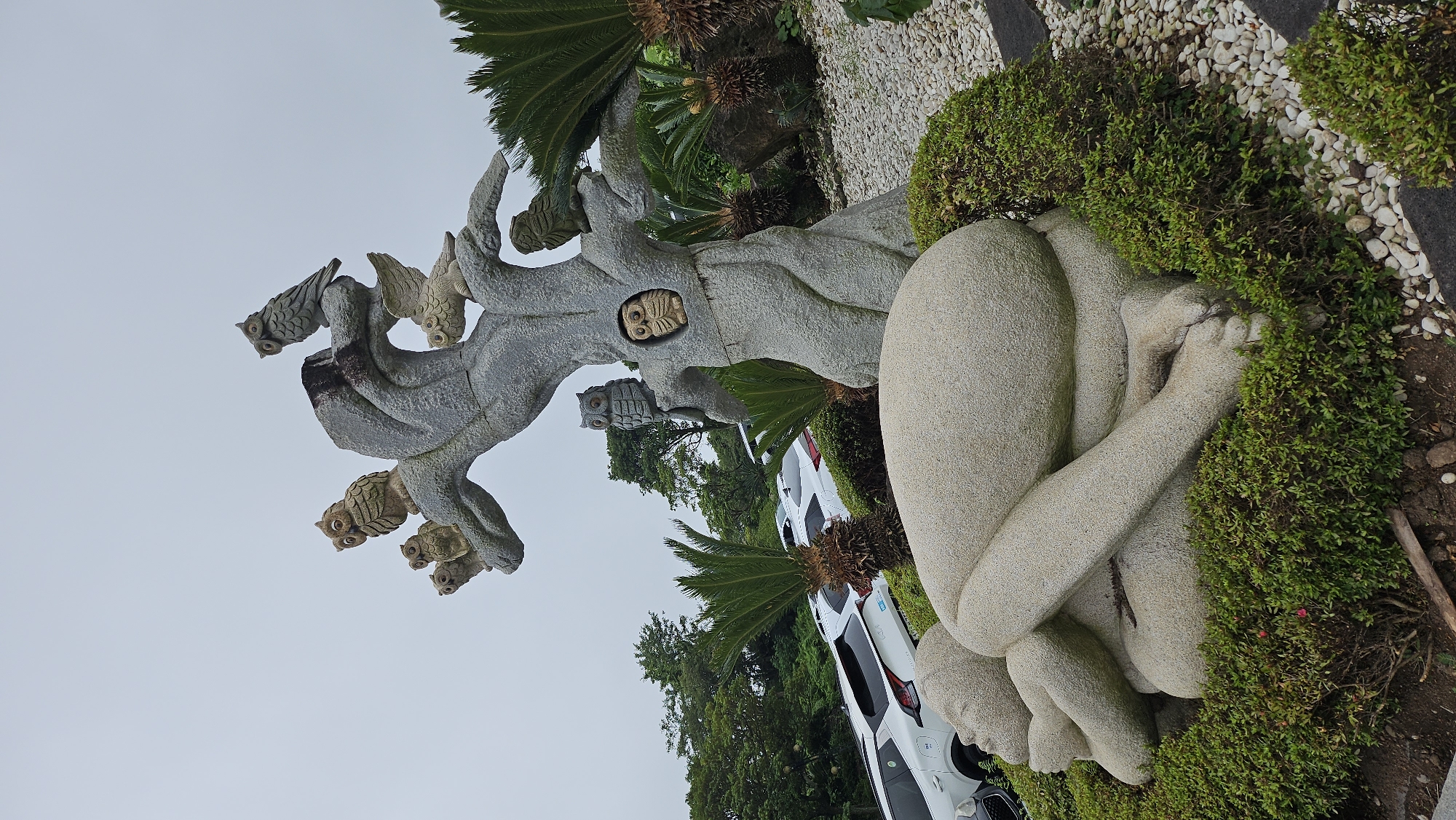 The image shows a stone sculpture of a reclining figure nestled among low-lying green bushes and white gravel. Behind the sculpture, a stylized stone tree trunk with branches is visible, adorned with several stone owl figures. The tree trunk has an opening containing another stone owl. In the background, several white cars are parked in a lot, with green trees and foliage beyond them. The sky is overcast. This sculpture is part of the Owl Museum in Seogwipo-si, South Korea.
