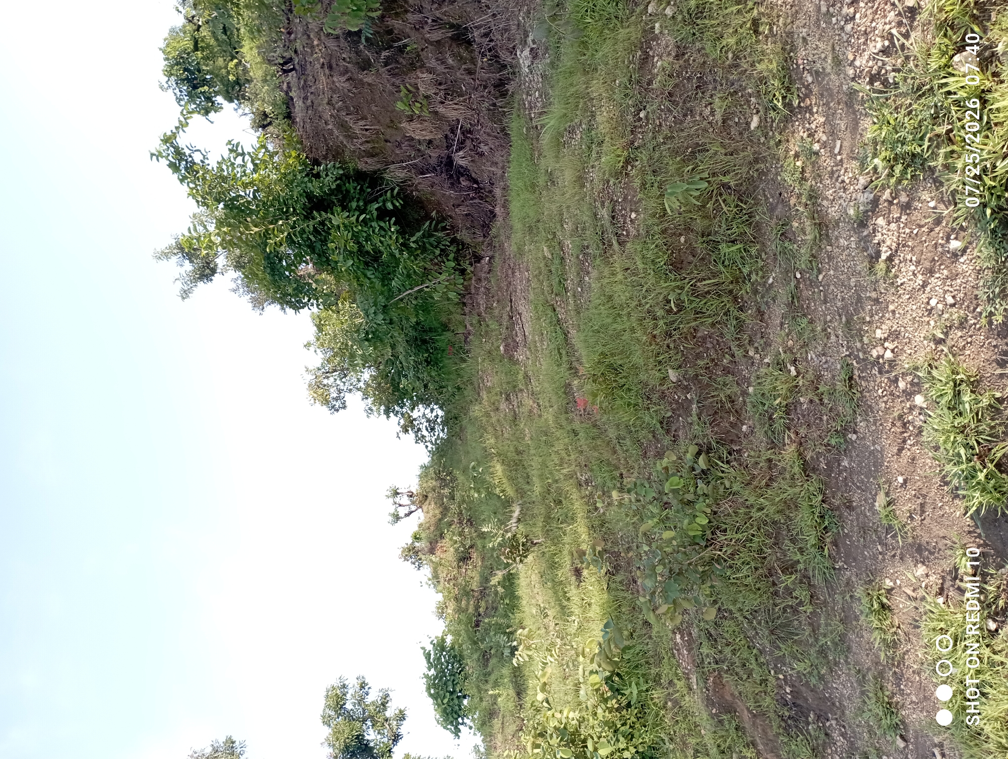 The image shows a sloping, grassy hillside with scattered bushes and trees. The terrain appears to be somewhat uneven and rocky in places. In the foreground, there is a dirt path with some gravel and sparse vegetation. In the background, the hillside rises further, covered in more dense greenery and trees. The sky is clear and bright, suggesting daytime. The image contains a watermark in the bottom left corner that reads "SHOT ON REDMI 10" and in the bottom right corner the date and time "07/25/2026 07:40". Based on the provided information, this scene is located in the city of Serti, Nigeria.