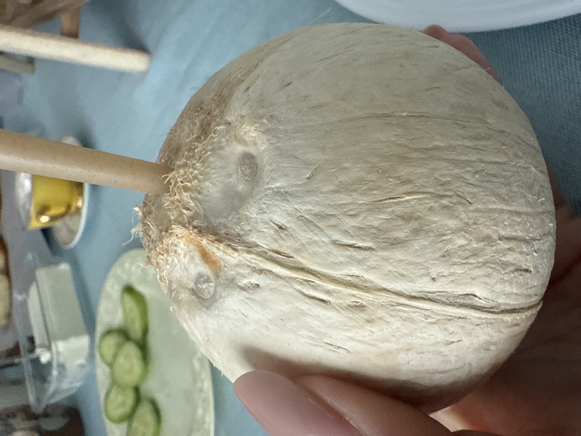 A close-up shot focuses on a white, roughly spherical object, likely a coconut, held in a person's hand with a visible pale pink fingernail. A light brown straw is inserted into the coconut. In the blurry background, a light blue surface is visible, alongside elements of a possible meal: a small plate with sliced cucumbers, a small container with what appears to be cheese, and a small dish with a yellow substance, likely honey. The location of the photo is not discernible from the image and I cannot provide the city and state of Davie, United States of America.