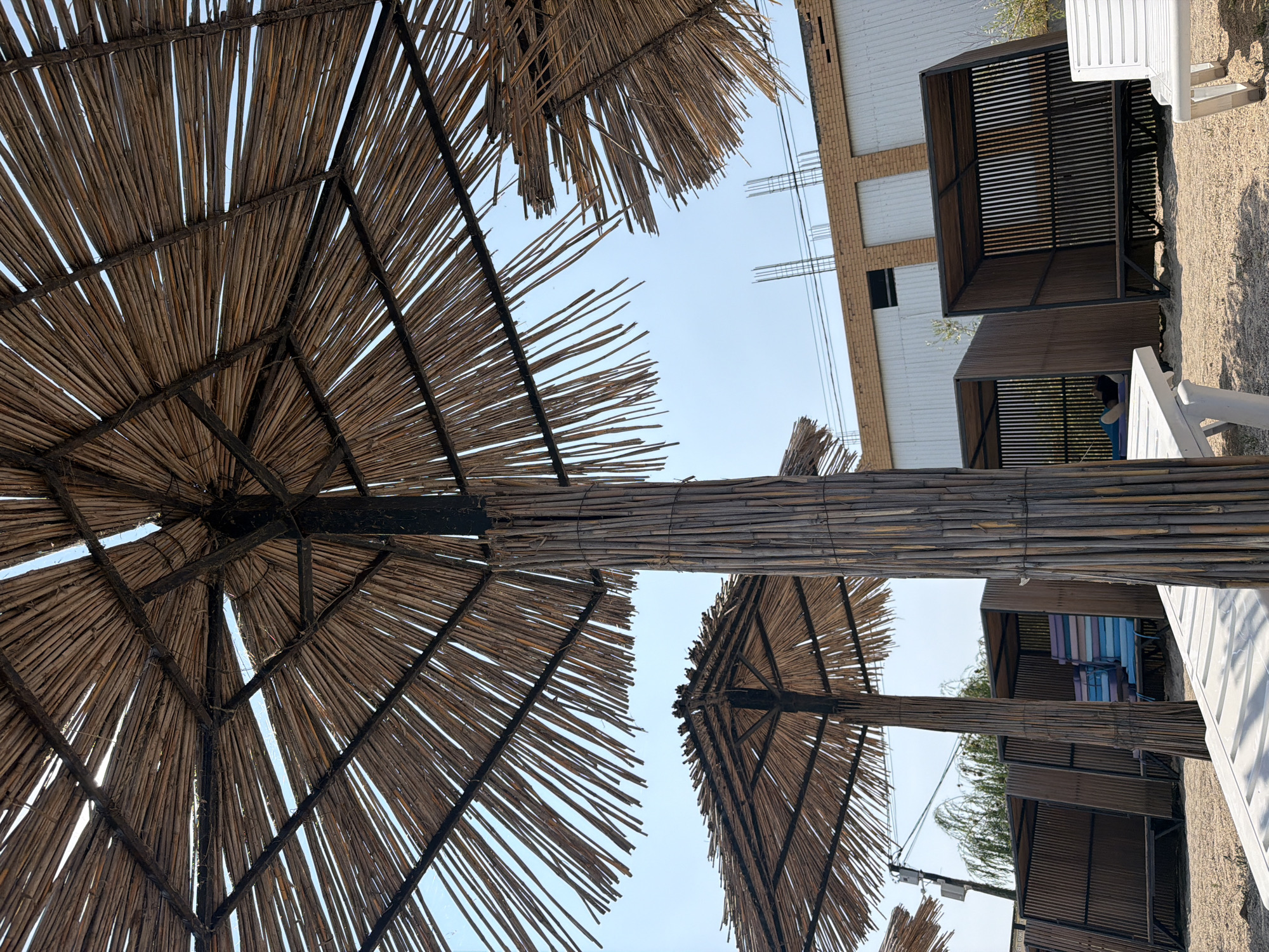 This is a low-angle, full shot of a beach resort in Pavlo-Ochakovo, Russia, on a sunny day. The foreground is dominated by a large, rustic thatched umbrella, constructed from thin reeds bound to a dark wooden frame. The umbrella's pole, also made of bundled reeds, stands tall in the center. To the left and right, more thatched umbrellas are partially visible. Behind the umbrellas, a row of open-air cabanas with wooden siding and dark metal frames line the sandy beach. Inside the cabanas, lounge chairs with striped cushions are visible. In the background, a partially constructed building with brick and white siding, along with scaffolding, suggests ongoing development. The sky is clear and blue, with a few wisps of clouds. The overall scene depicts a tranquil, yet developing, beachfront leisure area.