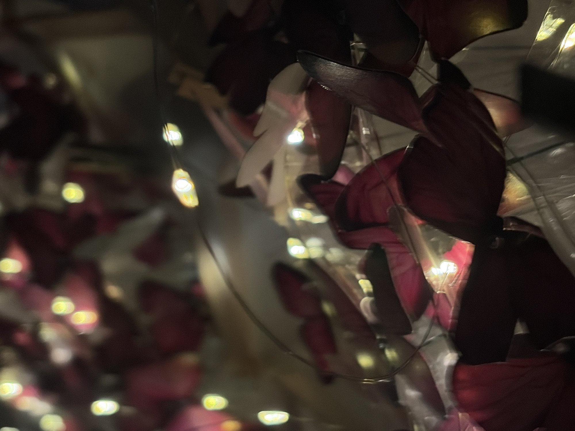 The image depicts a close-up, low-light scene featuring scattered rose petals and delicate string lights. The petals are primarily in shades of deep red and burgundy, with some appearing lighter pink or even white, suggesting a mix of varieties or stages of wilting. The string lights emit a warm, soft yellow glow, creating bokeh effects that blur into the petals and background. The overall impression is one of a romantic or decorative arrangement, possibly for an event or as part of an interior design element. There is no indication of any specific urban environment, nor any people present in the image. The scene is static, with no apparent actions or interactions taking place. The lighting is dim, with the primary illumination coming from the string lights, casting soft highlights and shadows. The setting appears to be indoors, given the controlled lighting and the nature of the objects displayed. There is no information within the image to suggest a location in Япрыково, Russia, or any other specific geographical place.