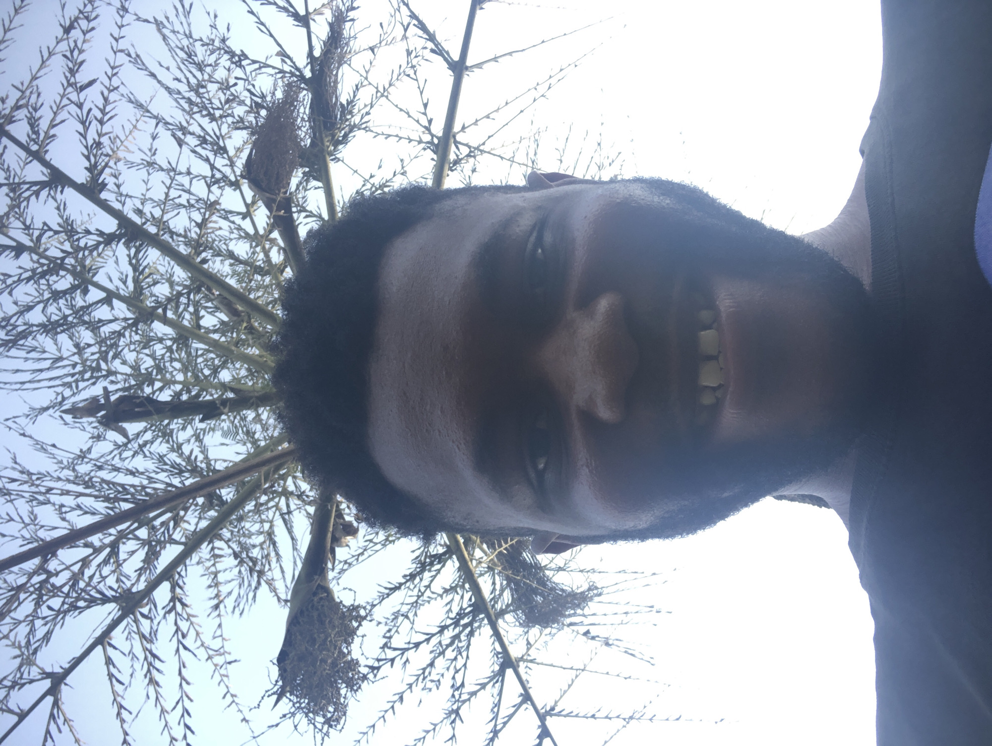 This image is a portrait, rotated 90 degrees counter-clockwise, featuring a person taken from a low-angle perspective looking upwards. The subject is a dark-skinned male with short, dark hair and a beard, positioned prominently in the foreground. He is smiling, showing his teeth, and his face is partially illuminated, suggesting strong overhead or backlighting against a bright sky. A dark garment is visible on his right side.
The background consists of a tree with many thin branches and small, dark leaves, stretching across the upper part of the frame. Several structures resembling bird nests or clumps of organic material are hanging from these branches. The sky is a very bright, almost blown-out white, visible through and above the tree canopy, indicating a clear, sunny daytime setting outdoors. The person appears to be posing for the photo. There is no visible text in the image.