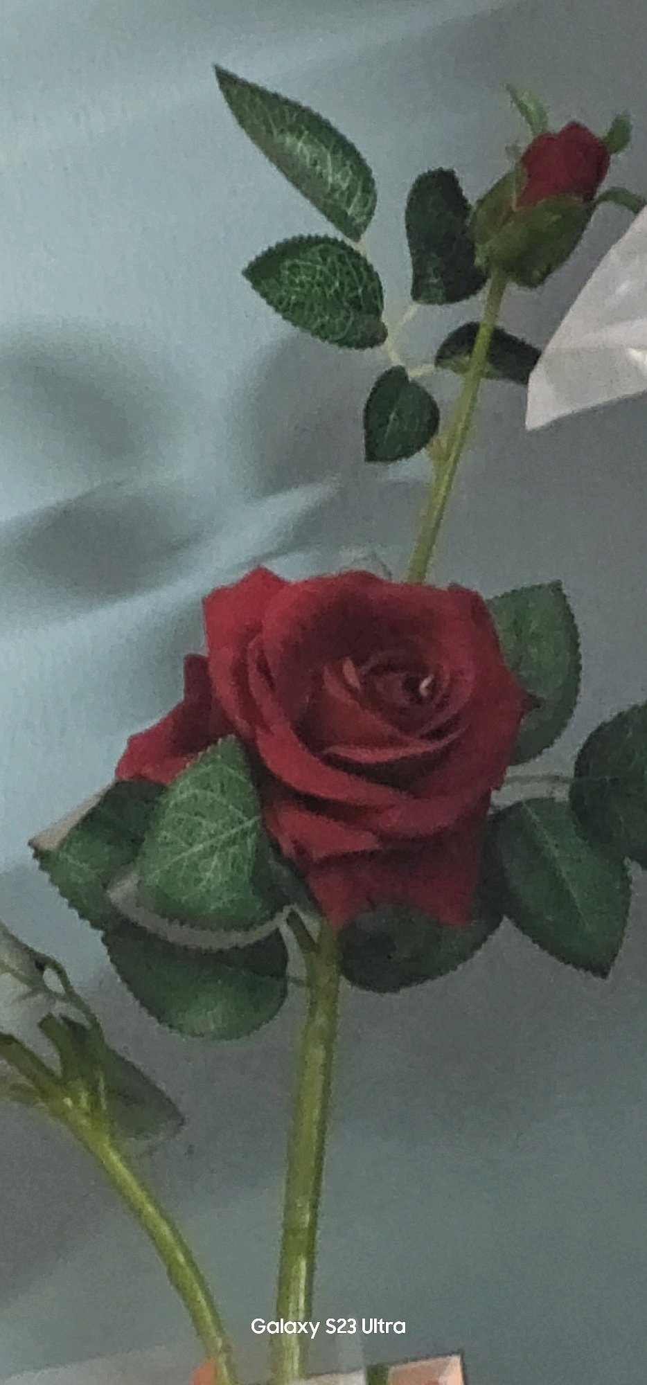 The image is a close-up of a red artificial rose with green leaves and a stem against a light blue background. A smaller red rosebud is visible at the top of the stem. The bottom right corner of the image displays the text "Galaxy S23 Ultra". There are no people or any indication of a specific location in Kakdwip, India, in the image.