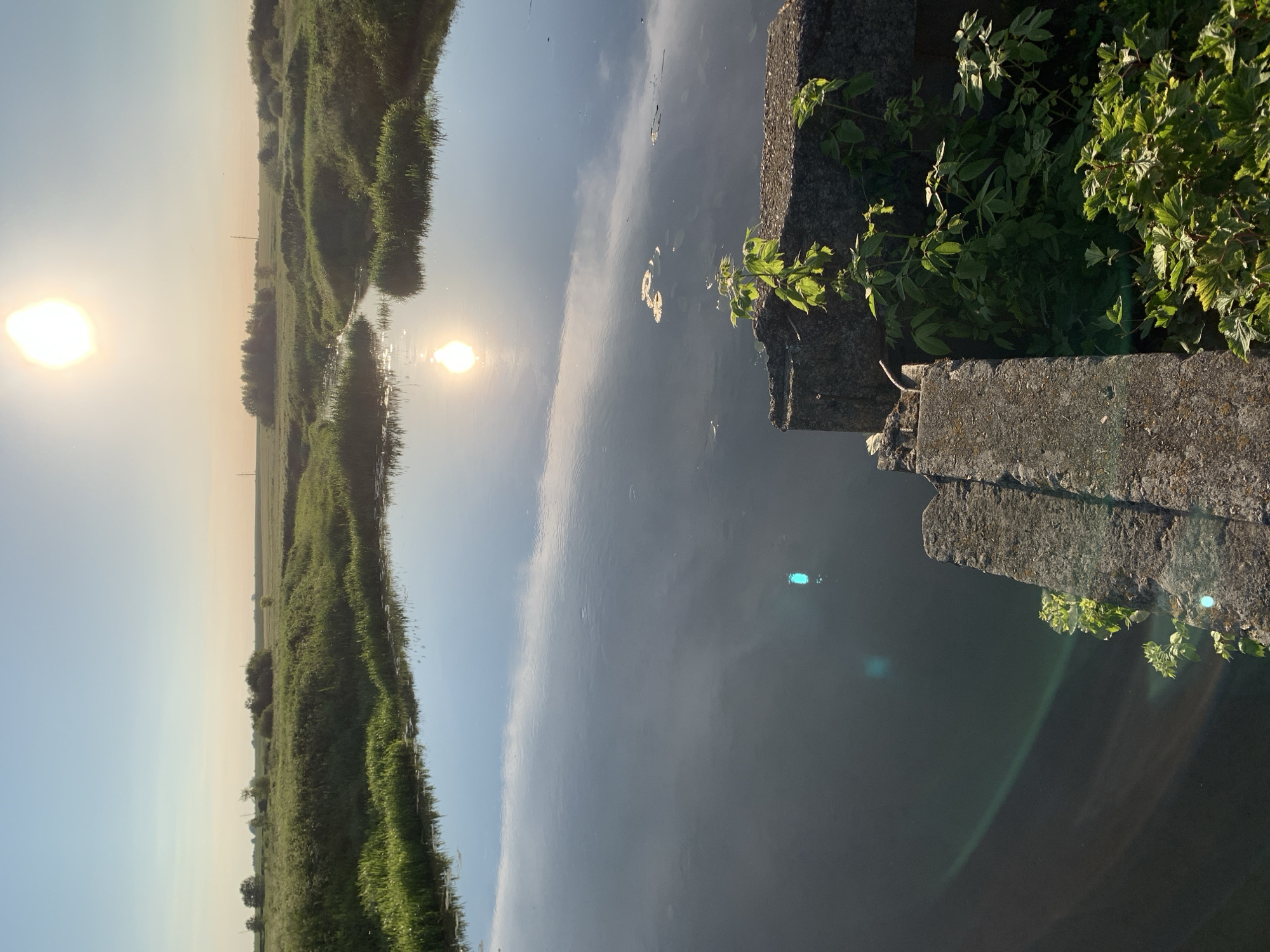 The image depicts a serene natural landscape in Блеўчыцкі сельскі Савет, Belarus, bathed in the warm light of a setting or rising sun. The scene is dominated by a calm body of water, likely a river or canal, reflecting the clear blue sky and the bright orb of the sun. Lush green vegetation lines the banks of the water, with reeds and taller grasses creating a textured border. In the foreground, partially ruined concrete structures, possibly remnants of an old bridge or dam, jut into the water, overgrown with vibrant green plants. The sun's reflection shimmers on the water's surface, creating a dazzling effect, and a soft lens flare adds a touch of atmospheric light. The overall impression is one of tranquility and natural beauty, with a hint of man-made history in the decaying structures.