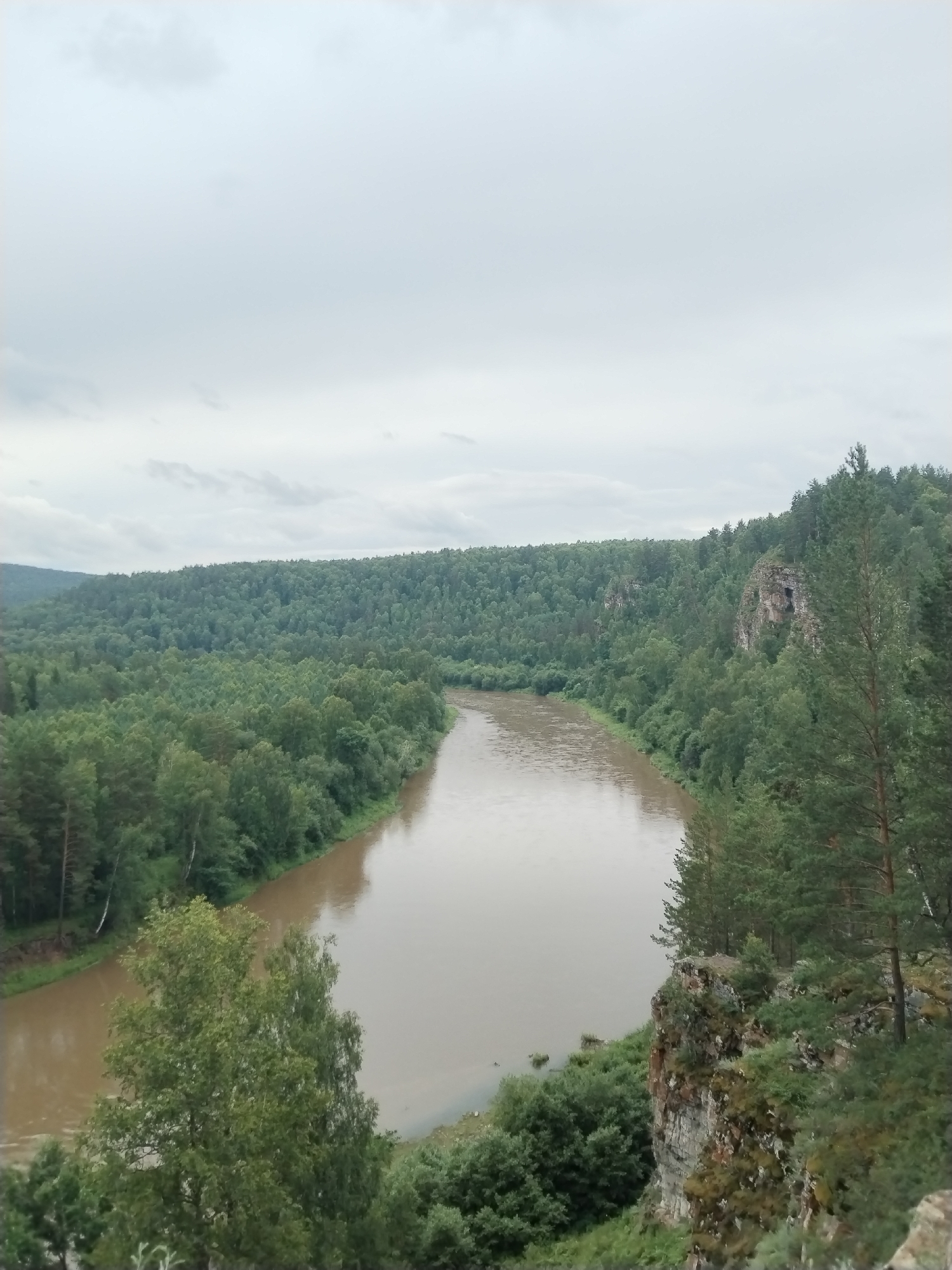This is an aerial, medium-distance, eye-level, full shot of a wide, muddy river flowing through a densely forested valley under a cloudy sky. The river bends to the left in the foreground, with its banks lined by lush green trees, including deciduous and coniferous varieties. Rocky outcrops, covered in vegetation, are visible on the right bank, with one featuring a cave-like opening. The distant landscape is a rolling expanse of green forest reaching to the horizon. The location is identified as being in the city of Al'kino, Russia, a place known for its natural beauty and surrounding forests. There are no people or animals present in the scene.