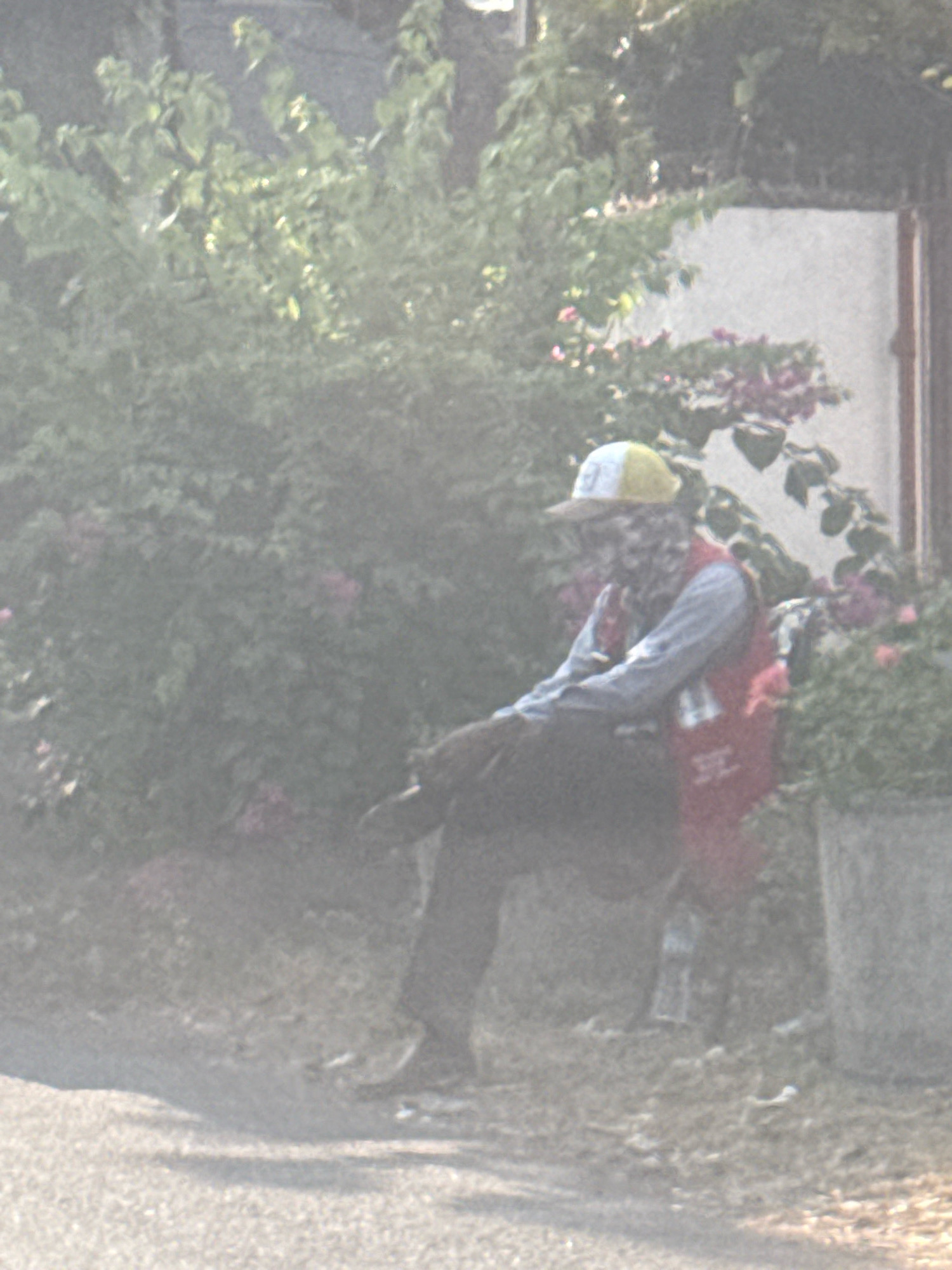 A person is sitting on a bench outdoors, wearing a yellow and white baseball cap, a patterned face covering, a light blue long-sleeved shirt, and a red vest. They are wearing dark pants and dark shoes, with their left leg crossed over their right. The person appears to be facing left and is holding a cigarette. Behind the person, there are green bushes and pink flowers, with a white wall and a building visible in the background. To the right, a large grey planter with a plant is present. The ground in front of the bench is paved with asphalt. The scene suggests a warm, sunny day. The image is slightly blurry due to the quality of the photograph.