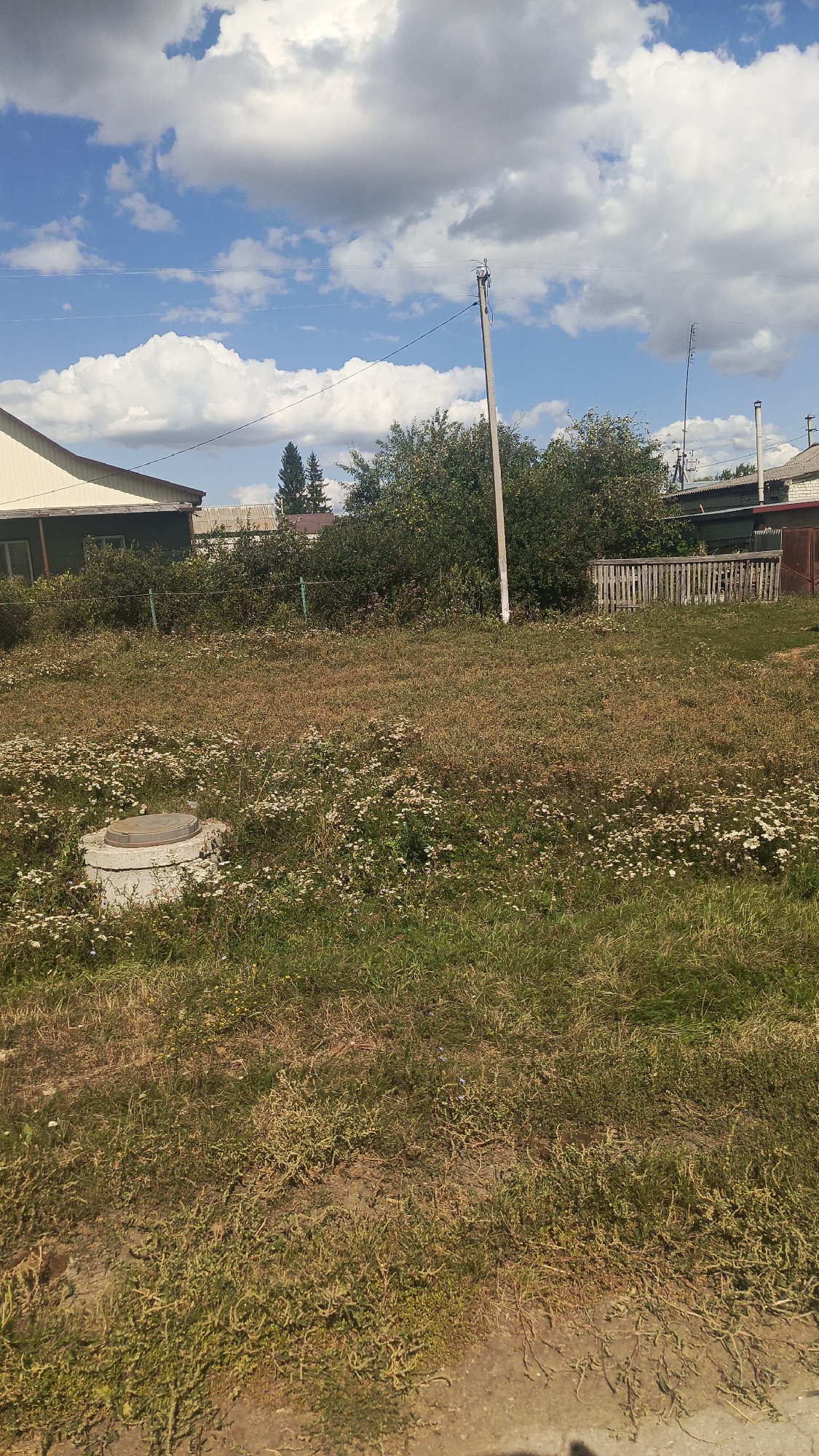 The image depicts a residential yard in Oktyabrsky Gorodok, Russia, on a partly cloudy day. The foreground is dominated by overgrown grass and scattered white wildflowers. A concrete wellhead with a circular metal cover is visible in the lower left portion of the frame.
In the midground, a wooden fence runs horizontally across the scene, separating the yard from what appears to be a neighboring property. Behind the fence, dense green foliage and trees suggest a natural buffer. A solitary utility pole stands prominently in the middle ground, with visible wires extending from it.
The background features several houses with pitched roofs, indicative of a suburban or rural setting. One house on the left has a light-colored exterior and dark trim. Further in the background, another house with a darker roof and white walls is partially obscured by trees. The sky above is a bright blue with scattered white cumulus clouds, suggesting fair weather. The overall impression is that of a somewhat unkempt but lived-in residential area.