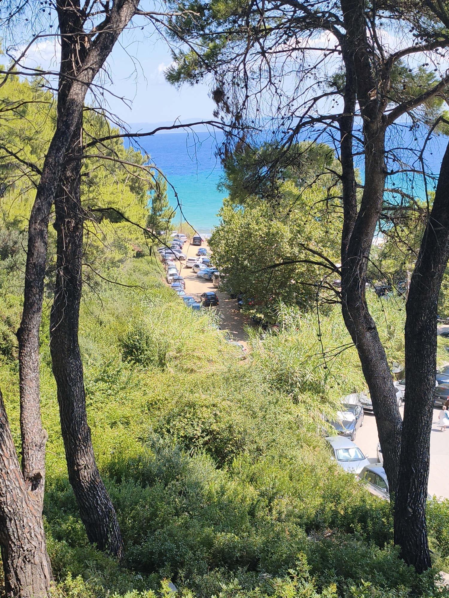 The image shows a view from a wooded area overlooking a road lined with parked cars leading to a body of water, likely the sea. The road curves to the right and ends near the water's edge, where several vehicles are parked closer to the shore. The water is a vibrant blue, suggesting a sunny day. Lush green vegetation, including trees and bushes, dominates the foreground and sides of the image, framing the view of the road and the sea. The trees in the foreground have dark, textured bark and sparse branches with green pine needles. In the distance, the horizon is visible with a faint outline of land. Some people are visible walking near the parked cars on the right side of the frame. The scene appears to be a coastal access point with a parking area for beachgoers or visitors. The location is identified as being within the Municipal Unit of Kassandra, Greece.