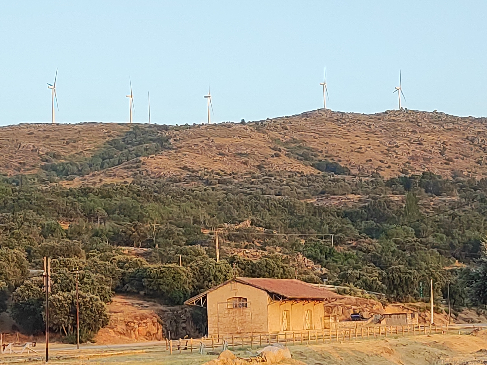 The image depicts a rural landscape near Ledrada, Spain, characterized by a hilly terrain covered in sparse vegetation and trees. In the foreground, a weathered, light-colored building with a reddish-brown roof stands prominently, featuring arched windows and an attached awning. A wooden fence encloses the area around the building. Power lines and poles are visible, suggesting utility infrastructure. In the background, the rolling hills are dotted with numerous wind turbines positioned along the ridgelines, indicating a wind farm. The sky is clear and light blue, suggesting daytime, likely late afternoon or early morning due to the warm, golden light illuminating the scene. The overall atmosphere is serene and rural, with a focus on renewable energy infrastructure integrated into the natural environment.