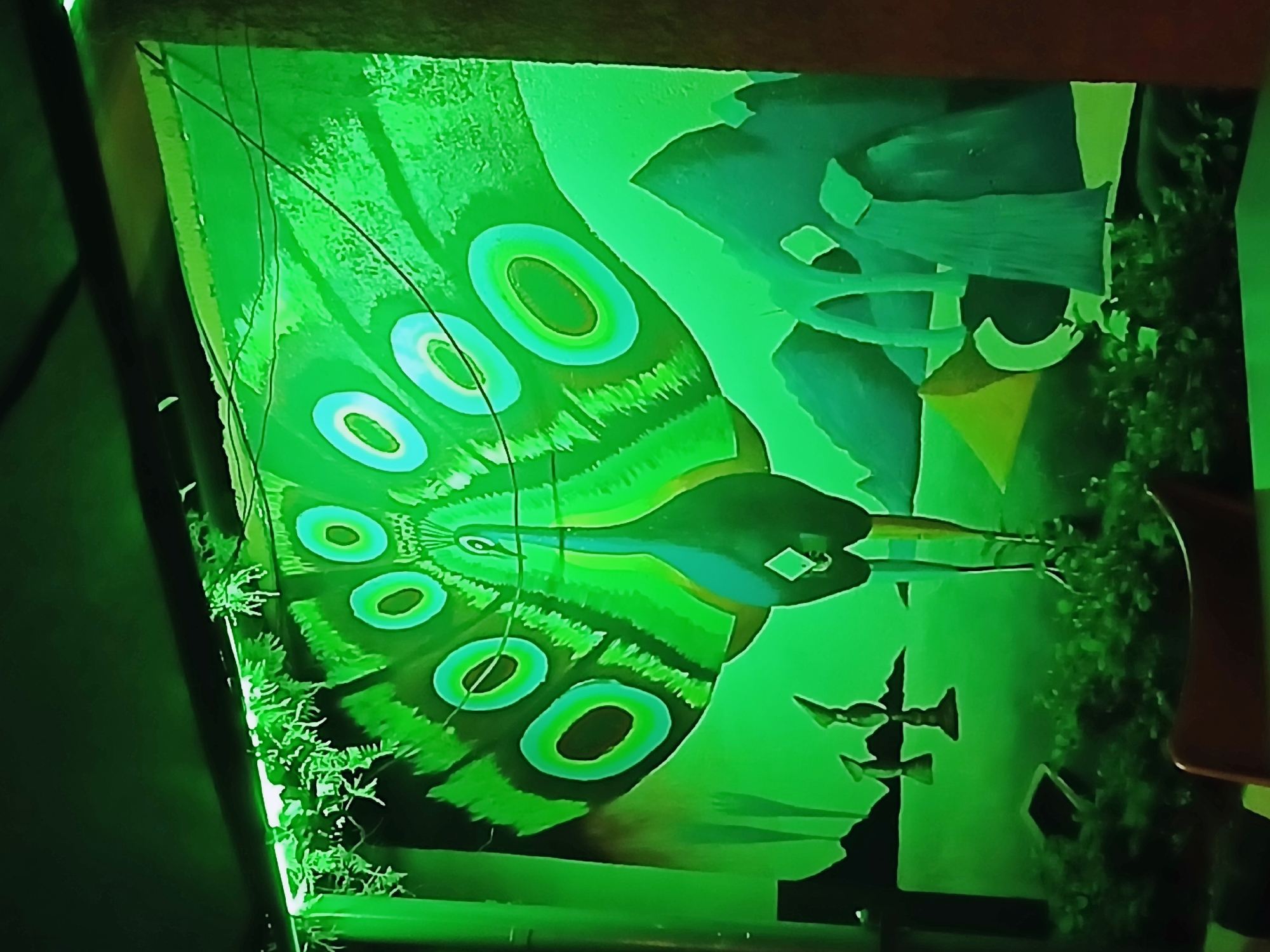 The image shows a green-lit mural, likely indoors. The mural features a large butterfly wing with prominent eye spots. The wing is positioned diagonally across the frame. To the right of the wing, there are abstract figures that appear to be birds in flight. The background is primarily green. Artificial foliage is present at the bottom of the mural and along the left edge of the frame. A dark, possibly black or dark-colored structure, is visible along the left side. The lighting casts an overall green hue on the scene. The location is stated to be Jos, Nigeria.