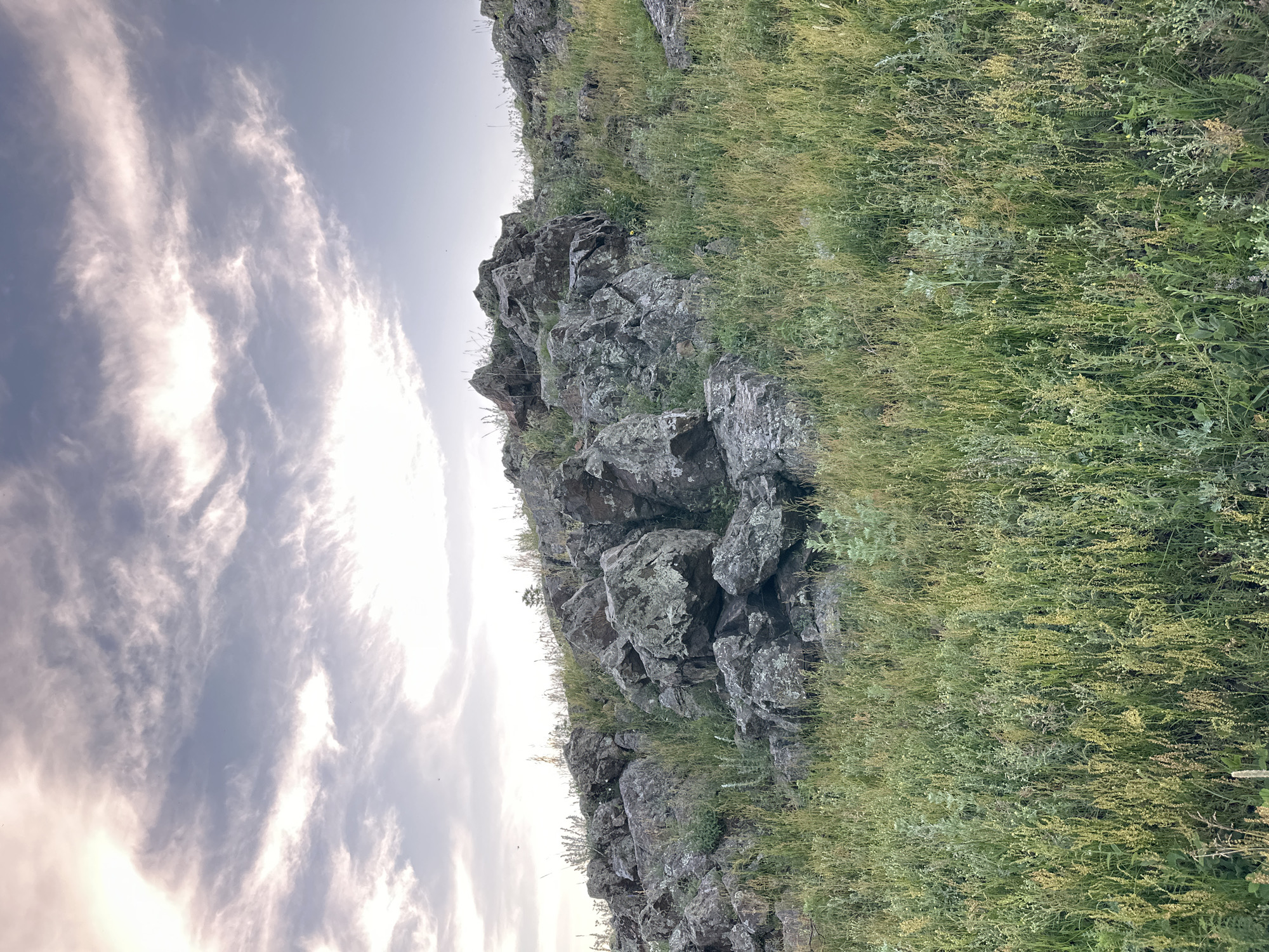 A natural landscape is depicted with a rocky hill covered in green grass and a cloudy sky. The foreground shows a dense patch of tall grass and various plants. Behind the grass, large, dark rocks are scattered across the hillside, forming a rugged terrain. The sky above is partly cloudy, with streaks of white and gray clouds against a light blue background. The overall scene suggests an outdoor environment in a natural setting.