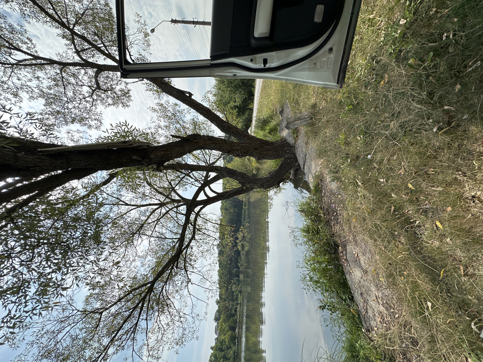 A white car door is open, revealing the interior, on the right side of the frame, parked on a grassy bank next to a calm lake. A large tree with sparse leaves grows from the bank, its trunk thick and gnarled, reaching towards the sky. The lake reflects the sky and the surrounding green trees and vegetation on the opposite bank. The sky is partly cloudy with a blue hue. In the distance, across the lake, a rolling landscape with houses and dense green trees is visible. A utility pole with a street light is present on the right side of the image, behind the car. The foreground consists of dry, yellowing grass and some scattered leaves. The scene appears to be a natural setting near the city of Makiv, Ukraine.