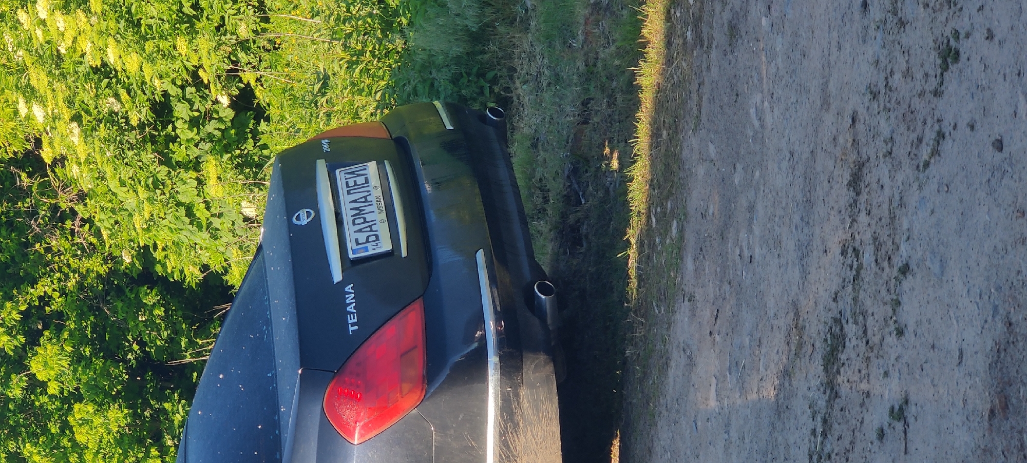 The image captures the rear of a dark-colored Nissan Teana sedan, parked on a dirt road or track in Rizunenkove, Ukraine. The car is positioned with dense, lush green foliage, including bushes with light-colored blossoms, to its left. To the right of the car is the unpaved, dusty ground of the road, showing some patches of grass along its edge.
The scene is illuminated by bright daylight, suggesting a clear day. No people are visible.
Notable details include:
- The car's model name "TEANA" is clearly visible on the lower left of the trunk.
- The Nissan logo is on the trunk lid.
- A badge above the license plate appears to say "200R" which might be "2008" or "2009" indicating the car's model year.
- The license plate features Cyrillic text "БАРМАЛЕЙ" (Barmaley), followed by the region code "14" (which corresponds to Cherkasy Oblast in Ukraine), and a small Ukrainian flag emblem with "UA" below it.
- Two exhaust pipes are visible under the rear bumper.