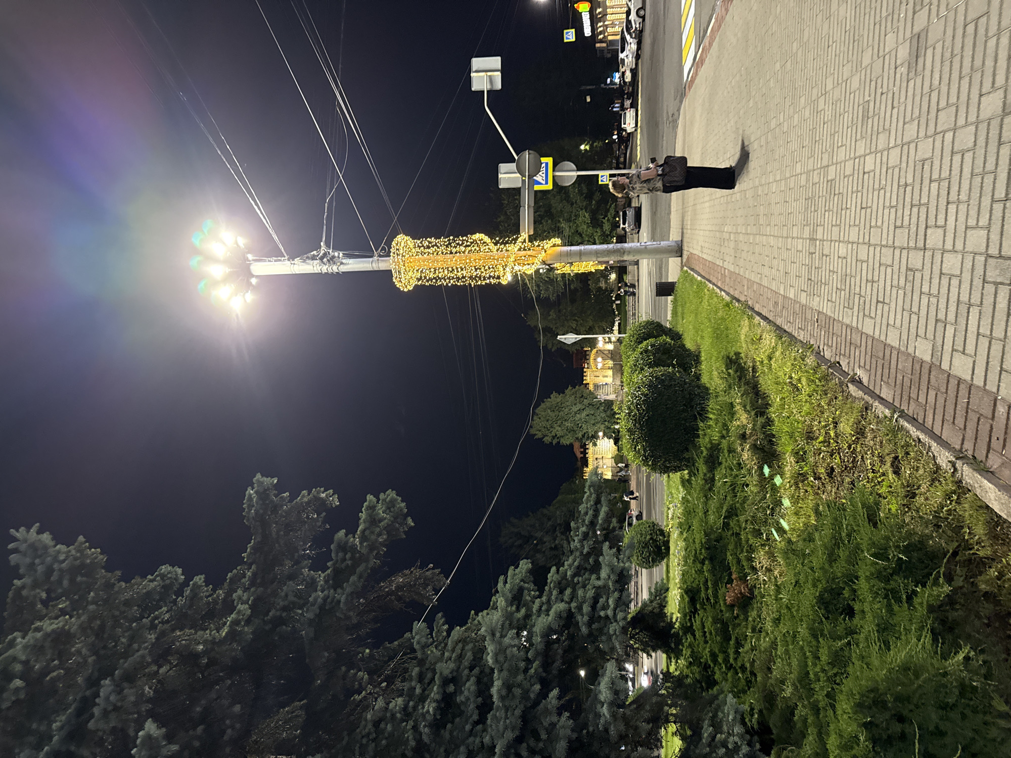 A night-time street scene in Vladikavkaz, Russia, shows a woman standing on a sidewalk next to a lamppost adorned with festive yellow lights. The lamppost is tall and slender, with multiple light fixtures at its apex casting a bright glow. The woman, wearing a patterned shirt and dark pants, carries a dark bag over her shoulder and looks towards the street. The sidewalk is paved with light-colored bricks, bordered by a strip of darker bricks. To the left of the sidewalk is a grassy area with manicured bushes and a large evergreen tree. Across the street, there are more trees, buildings with illuminated windows, and parked cars. Traffic lights and pedestrian crossing signs are visible. The sky is dark, indicating it is night.