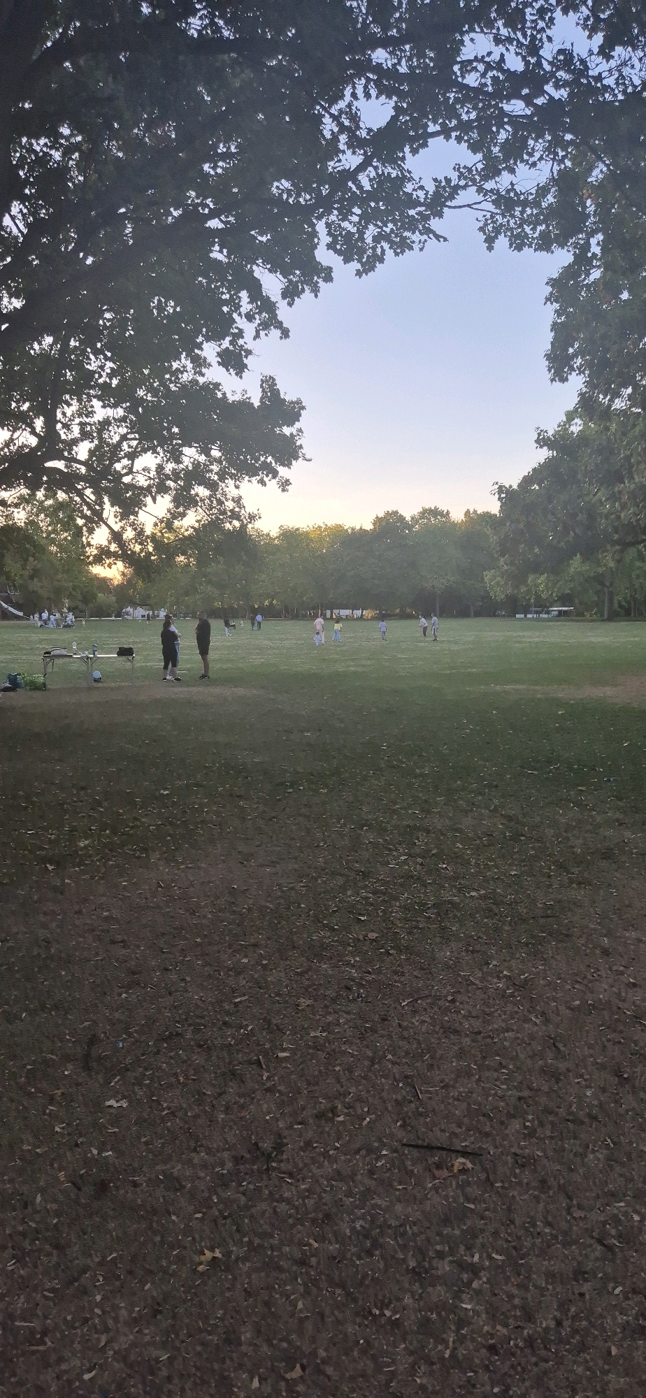 The image depicts a grassy field, likely a park, with several people engaged in various activities. In the foreground, two individuals are standing and conversing near a small table with a cooler and other items. Further into the field, a group of people are scattered, with some appearing to be playing a sport, possibly soccer, as a ball is visible near a goal. The background shows a line of trees, and the sky is clear with a hint of sunset colors. The scene suggests a casual outdoor gathering. Based on visual cues like the architecture and landscape, this location is likely within the city of Mainz, Germany.