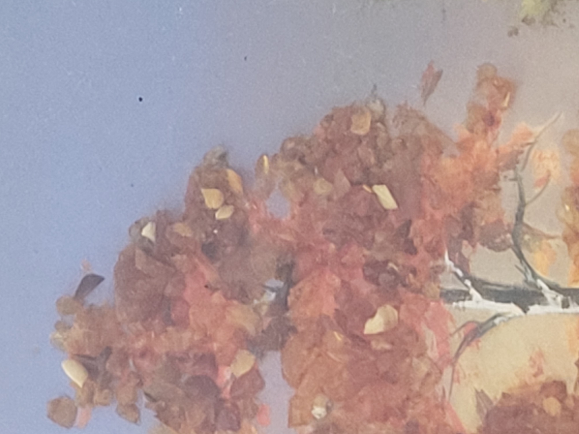 The image is a close-up shot of a painting depicting a tree with autumn foliage. The leaves are rendered in shades of orange, red, and brown, with some lighter yellow or tan accents. The tree trunk is visible, painted in dark grays and whites, with branches extending upwards and outwards. The background is a soft, pale blue, suggesting a sky. There are a few dark speck-like marks in the sky area of the painting. The texture of the paint is visible, indicating a brushwork style. The setting is abstract and lacks any specific urban or natural identifiable landmarks.