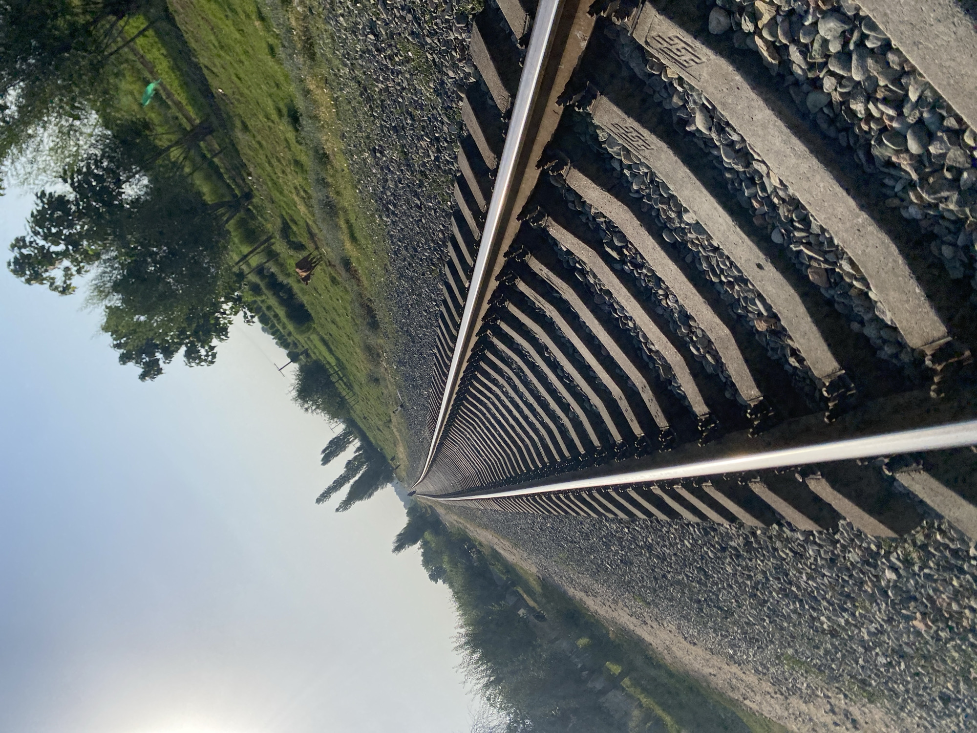 The image shows a railway track at an angle, suggesting a low camera perspective. The tracks are made of concrete sleepers and metal rails, covered with gravel. To the right of the track, there is a grassy slope with scattered trees. In the distance, a brown animal, possibly a cow, is visible on the grassy area. The sky is clear and blue, with the sun casting a bright light on the left side of the image, creating a lens flare. The environment appears to be rural, with vegetation and open space. While the prompt mentions the location as Боғистон, Tajikistan, there are no specific visual cues within the image to confirm this particular location.