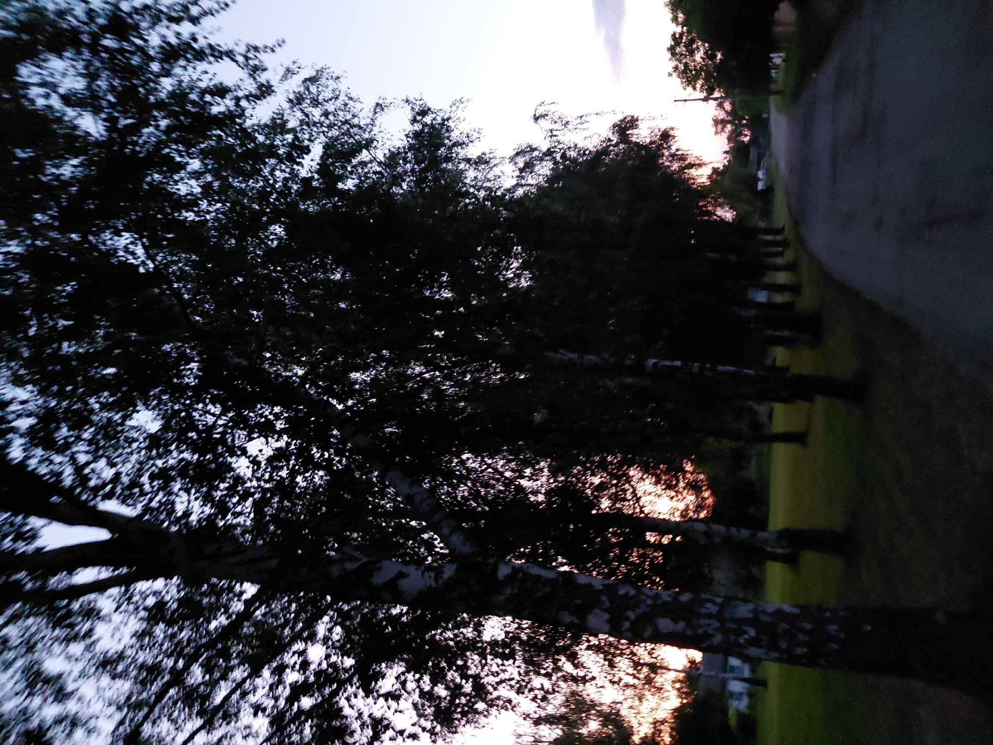 The image depicts a rural road in Ustyvytsia, Ukraine, during dusk. On the left side of the road, a line of birch trees with distinctive white and black bark stands silhouetted against the twilight sky. The trees' branches and leaves are dense, creating dark masses against the lighter sky. Beyond the trees, a green lawn is visible, and a small, white building can be seen in the distance. The road itself is paved and appears to be lightly traveled, curving gently into the distance. On the right side of the road, more trees and vegetation are present, also darkened by the fading light. The sky shows a gradient of colors, transitioning from a soft pink and orange near the horizon to a pale blue overhead, with some subtle cloud formations visible. The overall atmosphere is tranquil and serene, characteristic of a quiet evening in the Ukrainian countryside.