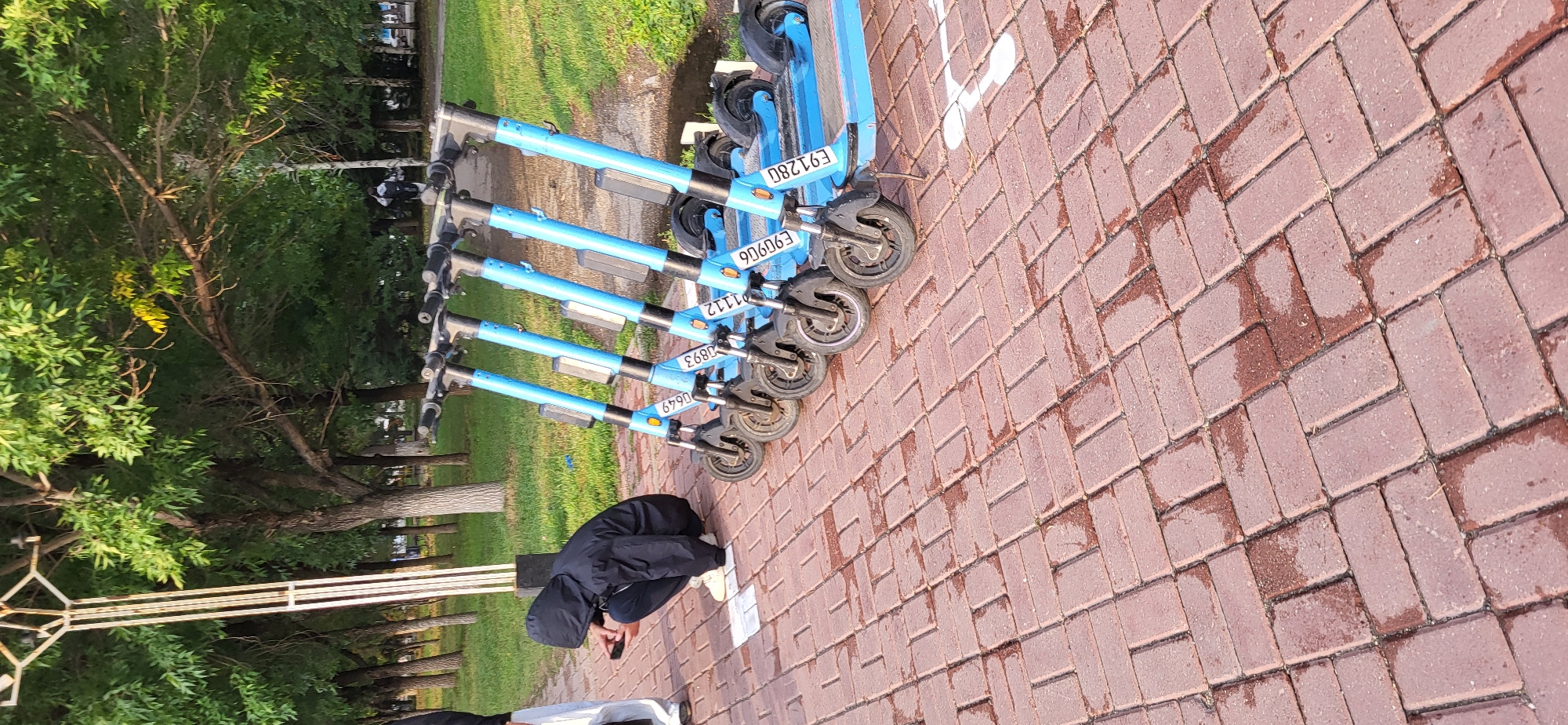 A person wearing a dark hooded jacket and dark pants is crouching down on a brick pathway, looking at their phone. To the right of the person, five blue electric scooters are parked in a line. The scooters have black handlebars and wheels, and each has a license plate with a white background and black text. The pathway is wet, with patches of standing water. Behind the pathway, there is a grassy area with several trees. In the background, there are more trees and a few distant figures. The overall scene appears to be a public park or a similar outdoor urban space. The license plates on the scooters contain alphanumeric identifiers such as "E9128G", "E90906", "E90893", "E91112", and "E90649". This image was taken in the city of Oskemen, Kazakhstan.
