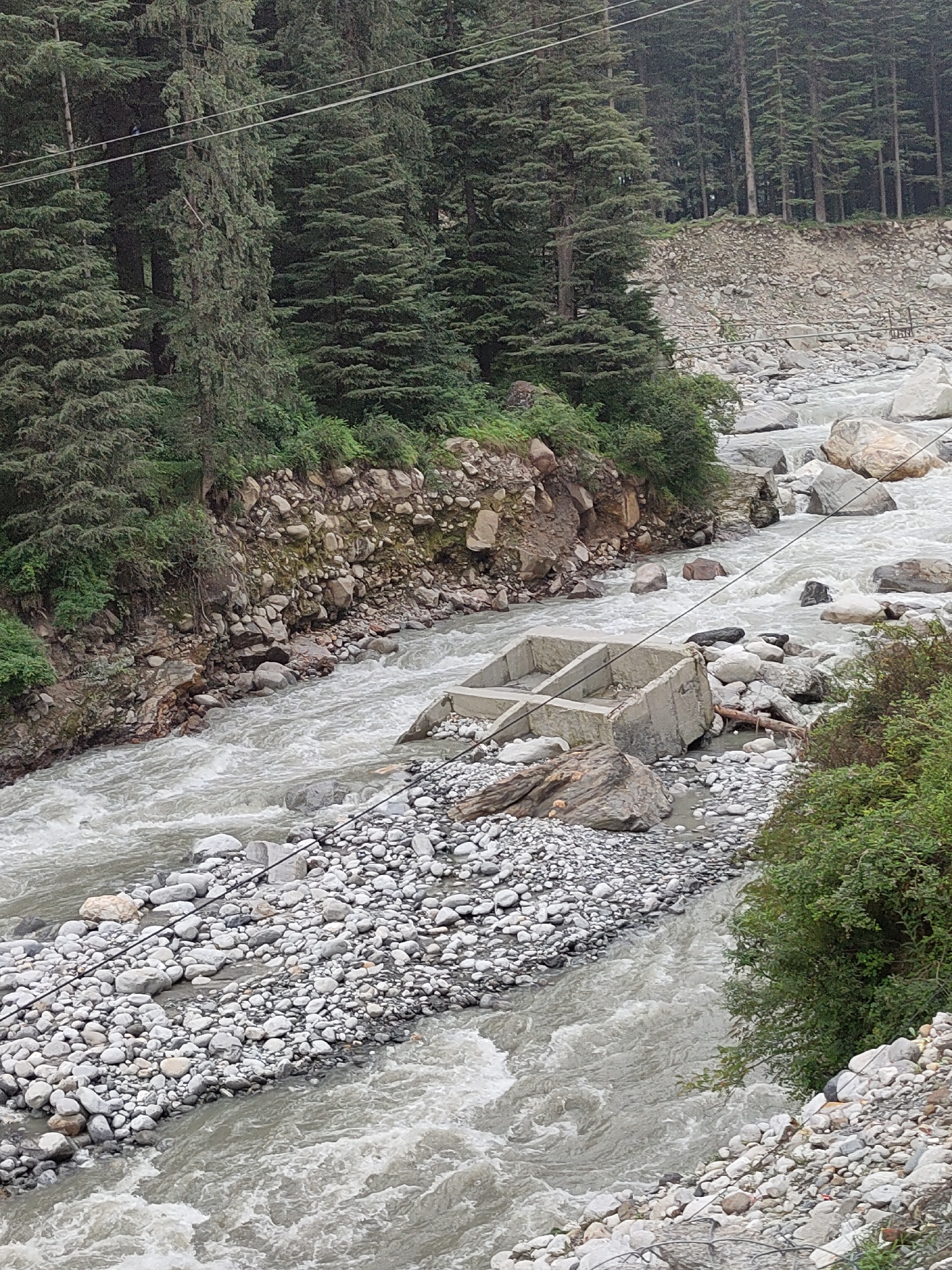 A wide, milky-grey river flows from the upper left of the frame to the lower right, filled with turbulent white water and large, smooth, grey rocks. The riverbanks are steep and rocky, covered with smaller grey stones and patches of green vegetation. On the left bank, a dense forest of tall, dark green coniferous trees stretches up the hillside. On the right bank, the vegetation is sparser, with some green bushes and more exposed rocks. A partially constructed concrete structure, possibly a bridge abutment or a dam component, sits in the middle of the river, surrounded by rocks and debris. Overhead, two dark power lines stretch across the frame, supported by unseen poles. The overall impression is one of a wild, natural landscape impacted by human development.