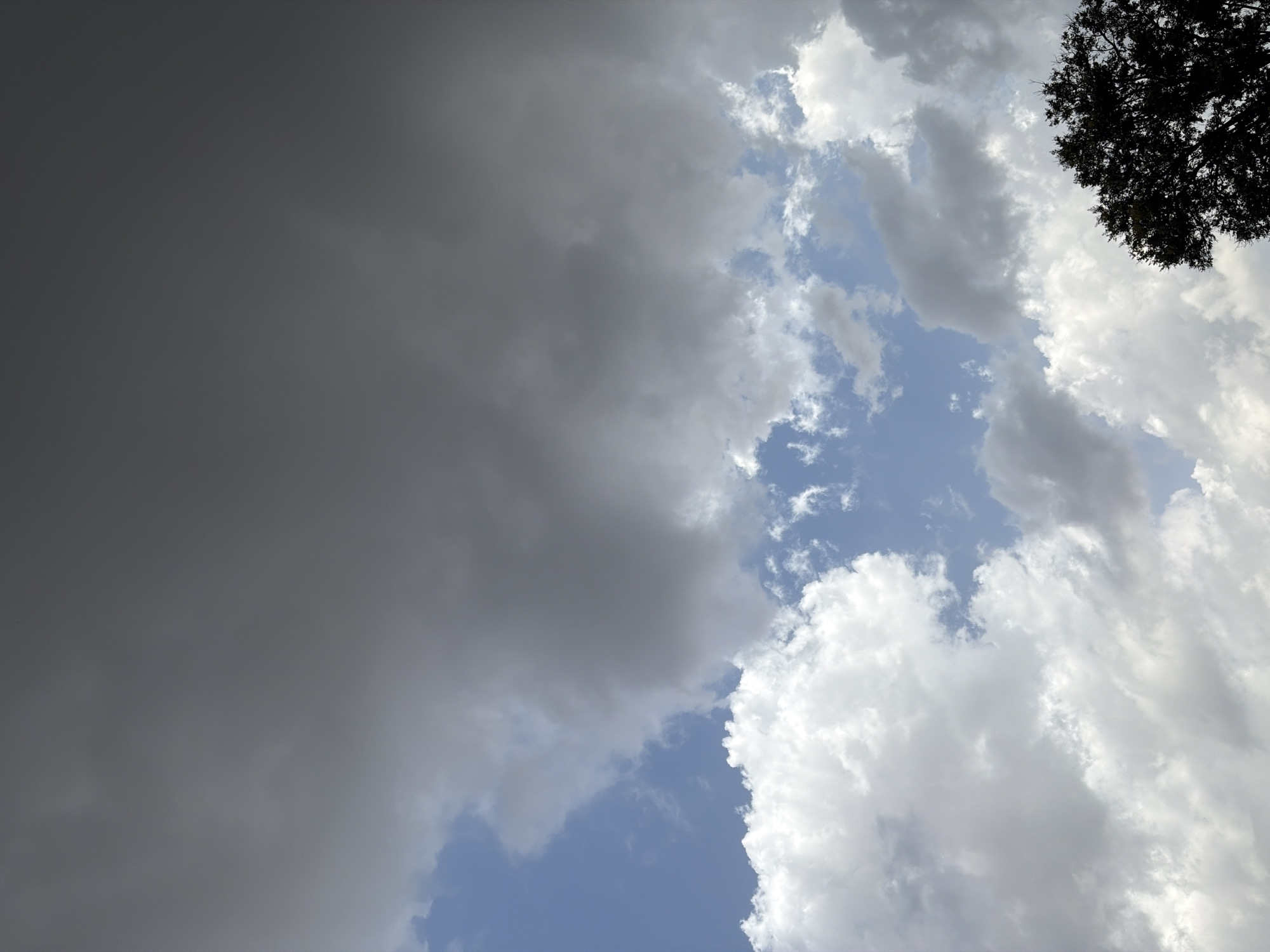 The image displays a dramatic sky filled with a mix of dark, heavy storm clouds and bright, fluffy cumulus clouds. Patches of blue sky are visible through the cloud cover. In the lower right corner, the silhouette of a dark green tree is visible against the lighter sky. The scene appears to be an outdoor environment, possibly a park or a landscape, with no people or specific structures immediately identifiable. The overall impression is one of impending weather change. The image does not provide any specific details that would indicate its location in Gura Top, Nigeria.