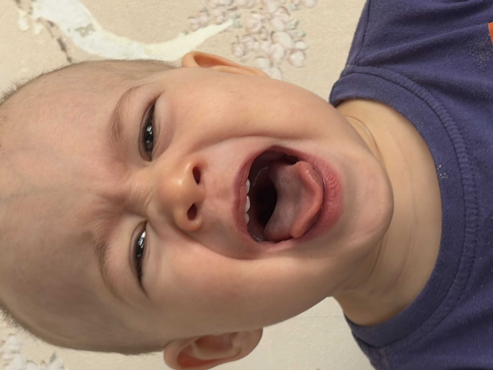 A close-up, tilted, eye-level shot depicts a baby with a fair complexion and a near-bald head, wearing a dark blue t-shirt. The baby's face is contorted in an expression of distress, with eyes squinted, brows furrowed, and mouth wide open, revealing their tongue and several teeth. The background is a neutral color with a faint floral pattern. No information to indicate location in the city of Chaikovsky, Russia, can be determined from this image.