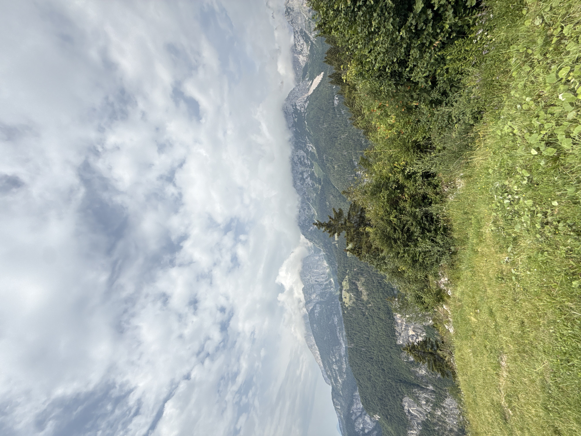 The image depicts a mountainous landscape under a cloudy sky. In the foreground, there is a grassy slope with scattered wildflowers. The middle ground is dominated by dense green trees and foliage. Further in the background, rugged, imposing mountains rise, with some peaks obscured by clouds. There are no visible people or man-made structures in this scene, suggesting a natural, remote environment. The location is identified as the city of Molveno, Italy.