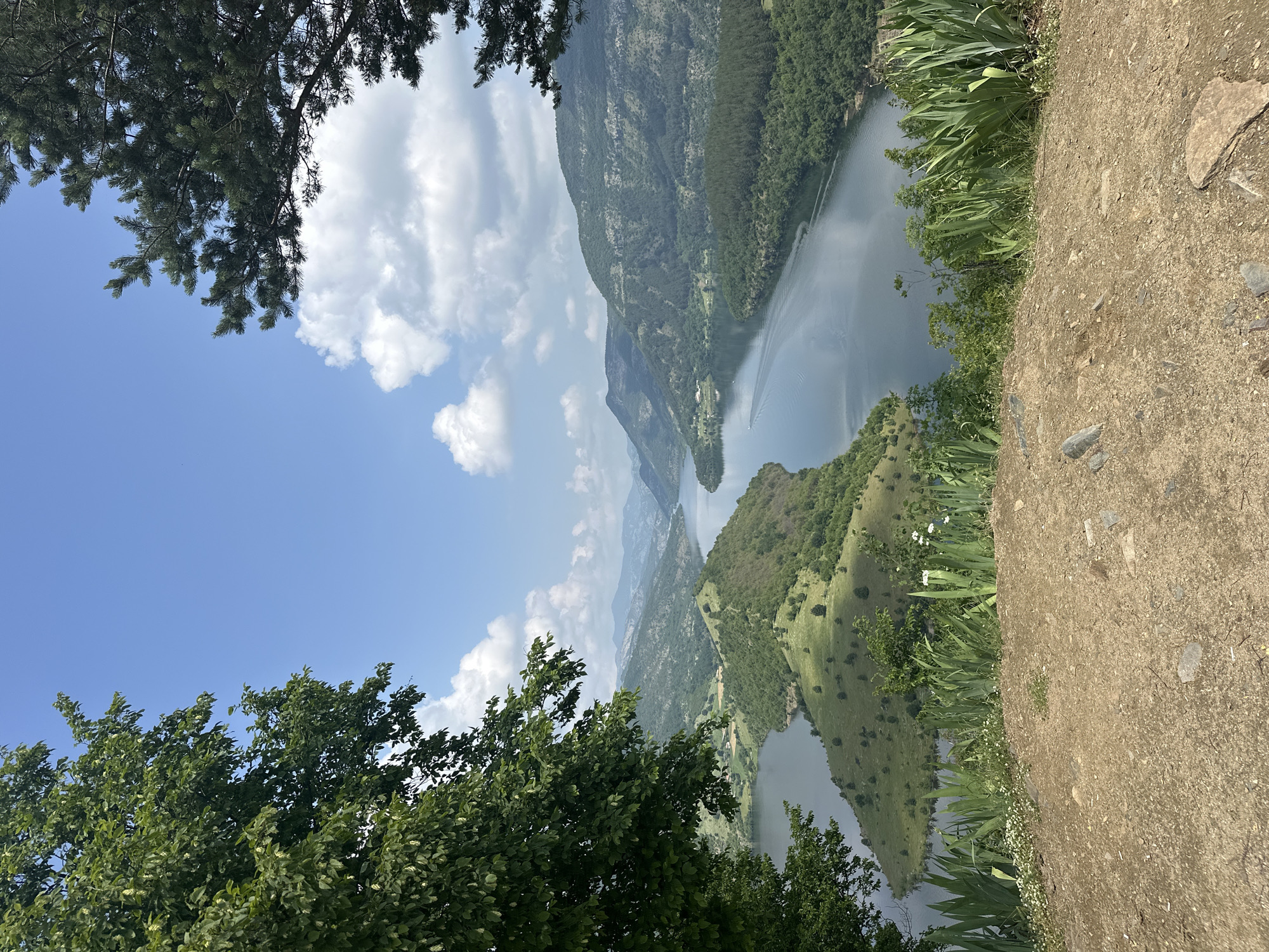 This image presents a high-angle, panoramic view of a majestic natural landscape, likely a river or lake winding through a mountainous gorge. The perspective is from a high vantage point, looking down into the valley.
In the immediate foreground, dark green pine branches with needles frame the top left corner of the scene. On the bottom right, a rough, earthy path or ground surface is visible, interspersed with tall, reedy green plants and some smaller white flowers. Another cluster of vibrant green deciduous trees frames the bottom left portion of the view, extending slightly into the midground.
The central and most prominent subject is a calm, dark blue-green body of water that gracefully meanders through the landscape, forming numerous bends. The water's surface reflects the bright sky and the surrounding verdant hills. A faint, white wake on the water indicates the recent passage of a boat, though no vessel is clearly visible. The water is flanked by steep, heavily forested mountains and rolling hills, covered in a rich tapestry of green trees, suggesting a mix of deciduous and coniferous species. Some grassy slopes and rocky outcrops are also visible. In the distant background, layers of mountains gradually fade into a soft, atmospheric haze, adding depth to the scene.
The sky above is a clear, vibrant blue, dotted with scattered, fluffy white cumulus clouds that cast subtle shadows across the terrain.
The scene depicts a tranquil and grand natural environment, captured during daylight hours, likely late morning or early afternoon, under clear weather conditions. The winding water body amidst steep, forested mountains is characteristic of the Borovitsa Dam and Arda River region in Bulgaria. There are no people visible, and no discernible text within the image.
