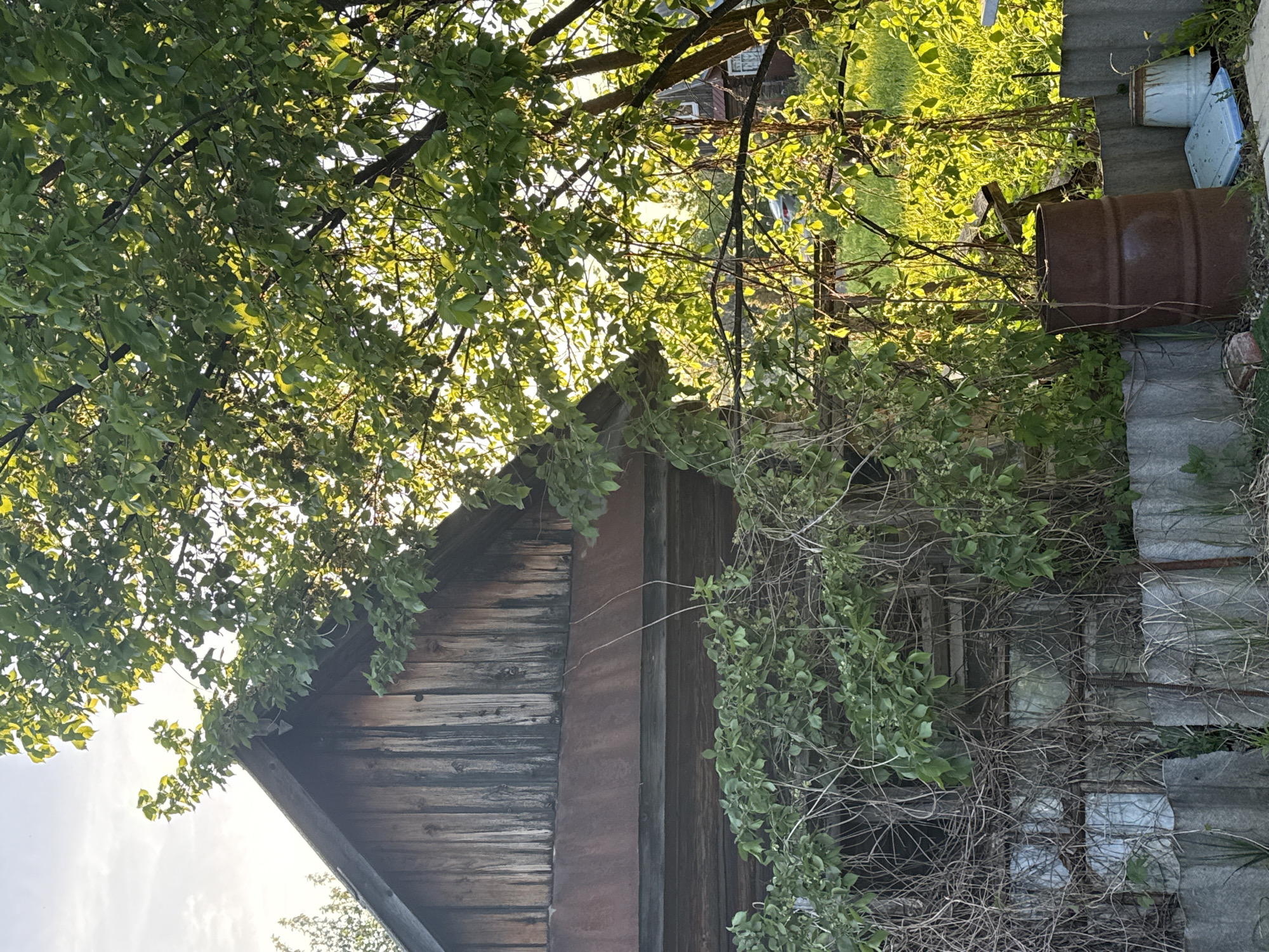 A weathered wooden structure, possibly a shed or outbuilding, stands under the partial cover of a tree with green leaves. The structure has a pitched roof and is constructed of aged wooden planks. To the right of the structure, a rusty metal barrel lies on its side. Galvanized metal sheets are stacked nearby. The location appears to be a rural or semi-rural setting. The geographical location is indicated as Kuzili, Russia.