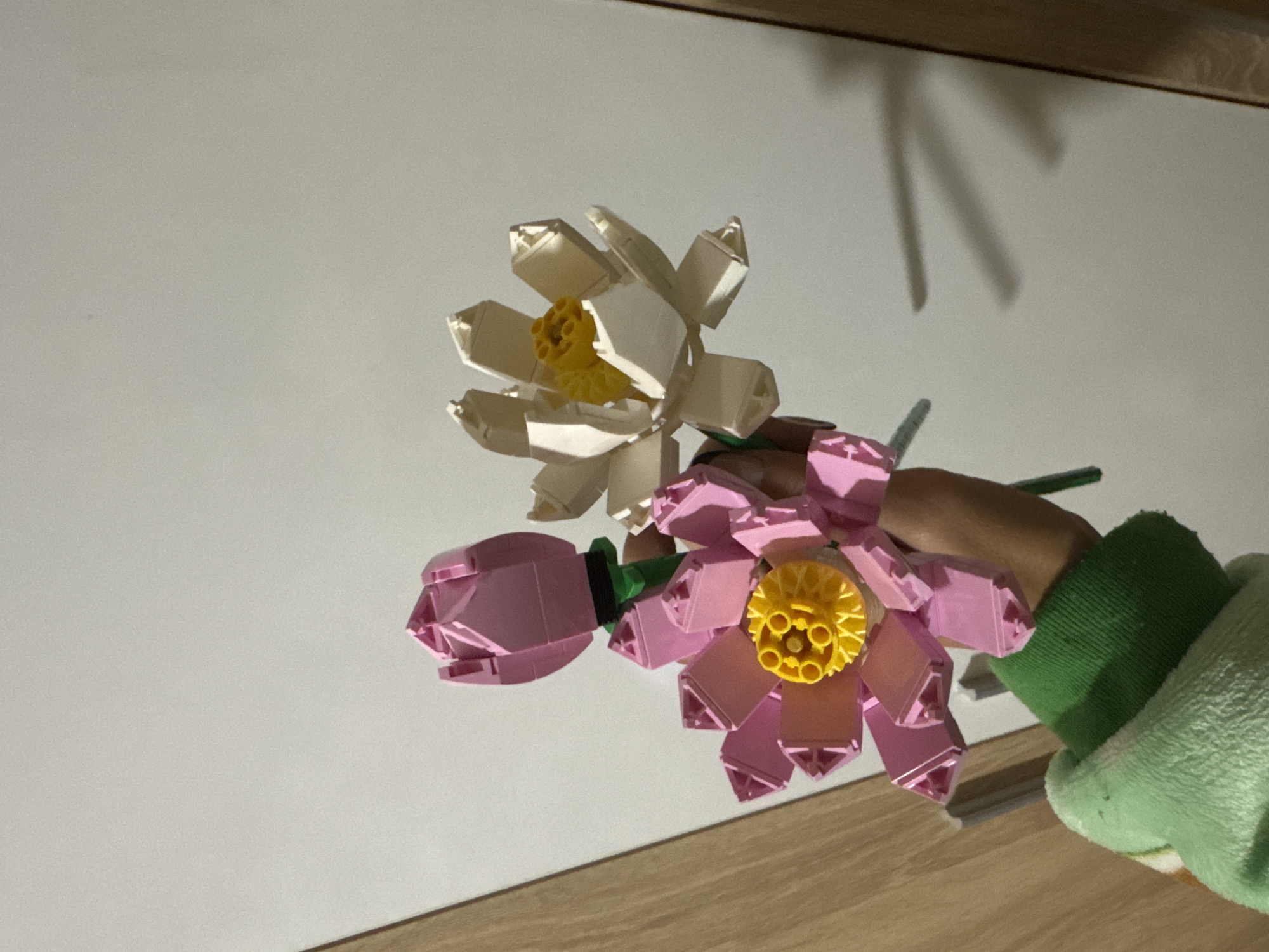 The image shows a person holding two Lego lotus flowers. One flower is cream-colored, and the other is pink. The person's hand is visible, with a green sleeve covering part of their arm. The background includes a white wall and a wooden surface. There is no information in the image that indicates the location is in the city of Sofia, Bulgaria.