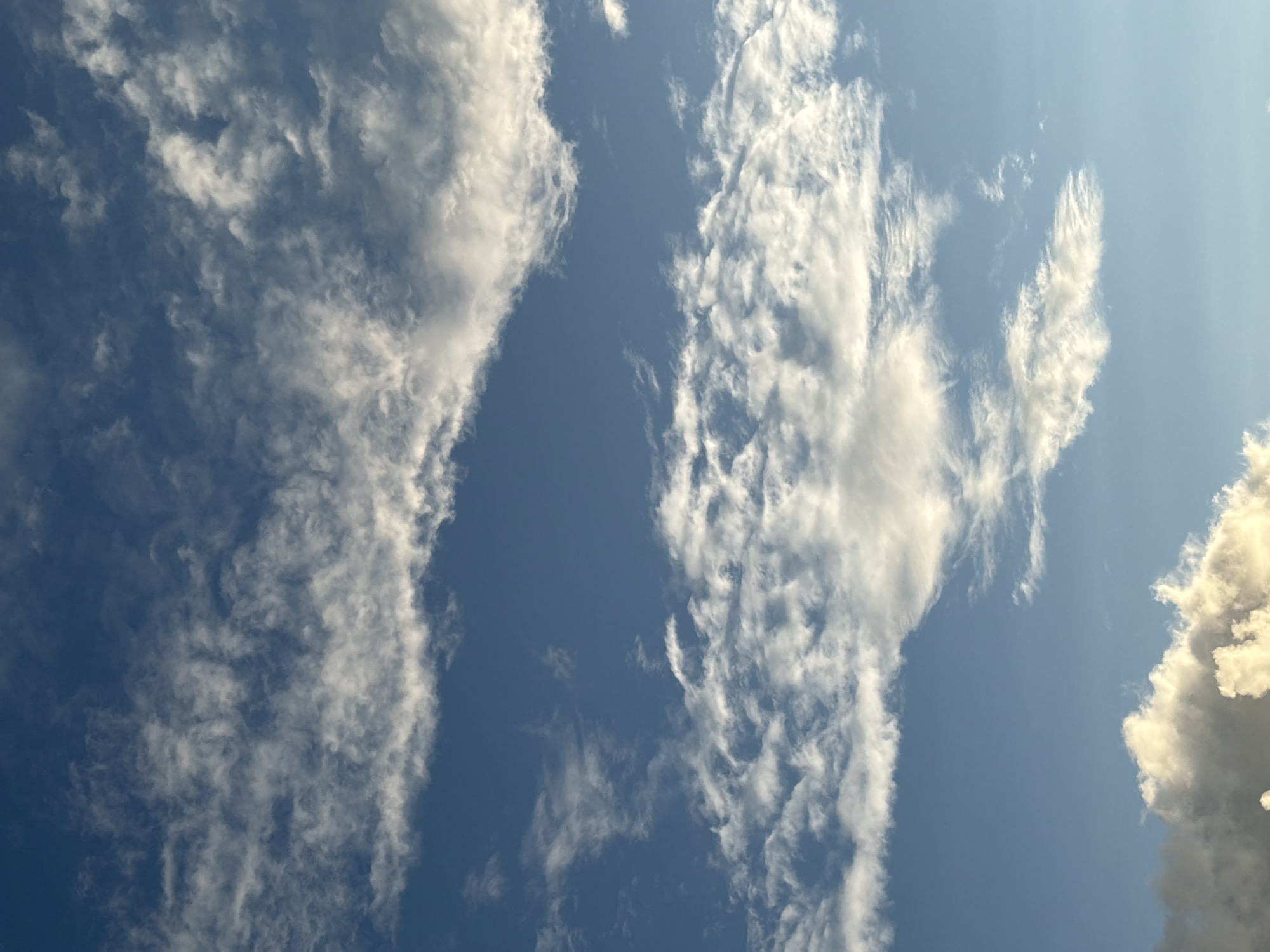 This is a close-up, vertical, eye-level shot of a blue sky with wispy white clouds. The clouds are scattered in horizontal bands across the frame, with denser formations towards the bottom of the image. The lighting suggests it may be late afternoon or early morning, with sunlight illuminating the edges and undersides of some of the clouds. There is no indication of any specific location within Ветлужский, Russia, other than it is an outdoor environment with sky visible. No people, objects, actions, or interactions are depicted.