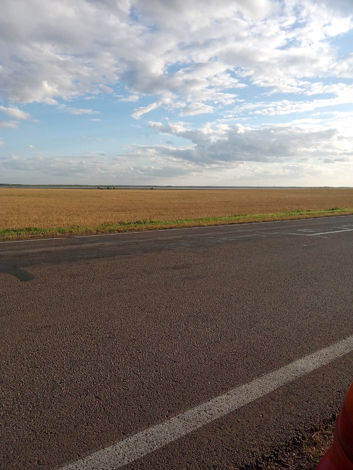 The image depicts a vast, flat landscape under a sky filled with scattered white clouds. In the foreground, a dark asphalt road occupies the lower half of the frame, with a thin white line marking the edge of the lane. To the left of the road, a dark shadow is cast, suggesting the presence of an unseen object or person. Beyond the road, a wide expanse of golden-brown dry vegetation stretches towards the horizon, hinting at a field of ripe grain or grass. A thin strip of green vegetation runs along the edge of the field, separating it from the road. In the far distance, a faint, dark line suggests the presence of water, possibly a lake or a river, bordered by a low horizon. The overall scene is open and rural, likely situated in a dry climate. The location is specified as Қарақоға ауылдық округі, Kazakhstan, suggesting a rural setting within that administrative district.