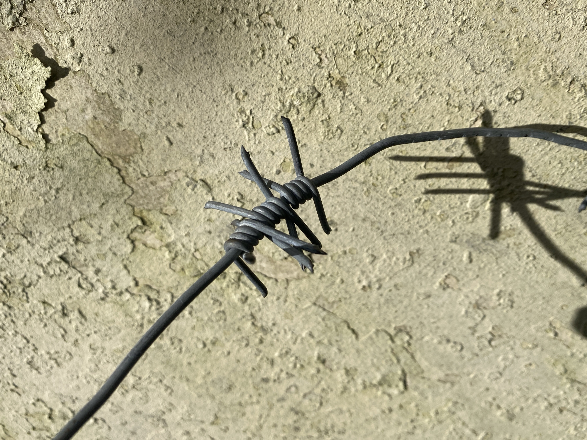 The image shows a close-up of barbed wire against a textured, possibly concrete, wall. The barbed wire is grey and its barbs are prominently visible, casting a shadow on the wall behind it. The wall is light-colored with a rough surface. The location is not discernible from the image. There are no people visible. There are no actions occurring.