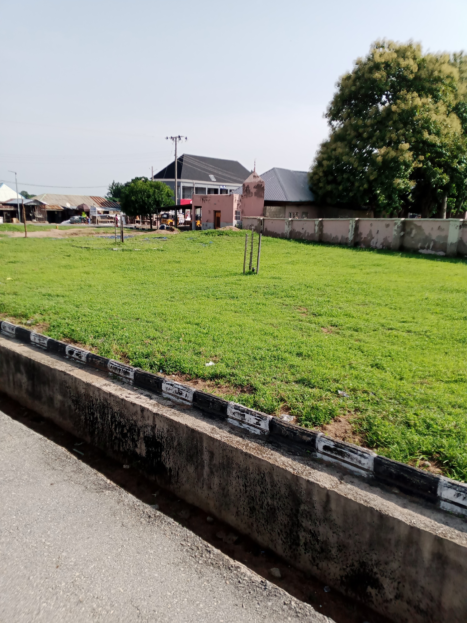 The image shows a sunny day scene on a street in Jalingo, Nigeria. In the foreground, a concrete drainage ditch runs along the side of an asphalt road. The ditch is partially filled with water and debris. The edge of the ditch is marked with alternating black and white painted concrete blocks. Beyond the ditch is a well-maintained grassy area, possibly a park or undeveloped land. In the mid-ground, several buildings are visible, including a pink structure with a metal roof and a larger building with a dark, angular roof. A large tree with light-colored blossoms is prominent on the right side of the image. In the background, more buildings and a power pole are visible under a clear, pale blue sky. The overall impression is of an urban or semi-urban environment on a bright, clear day.