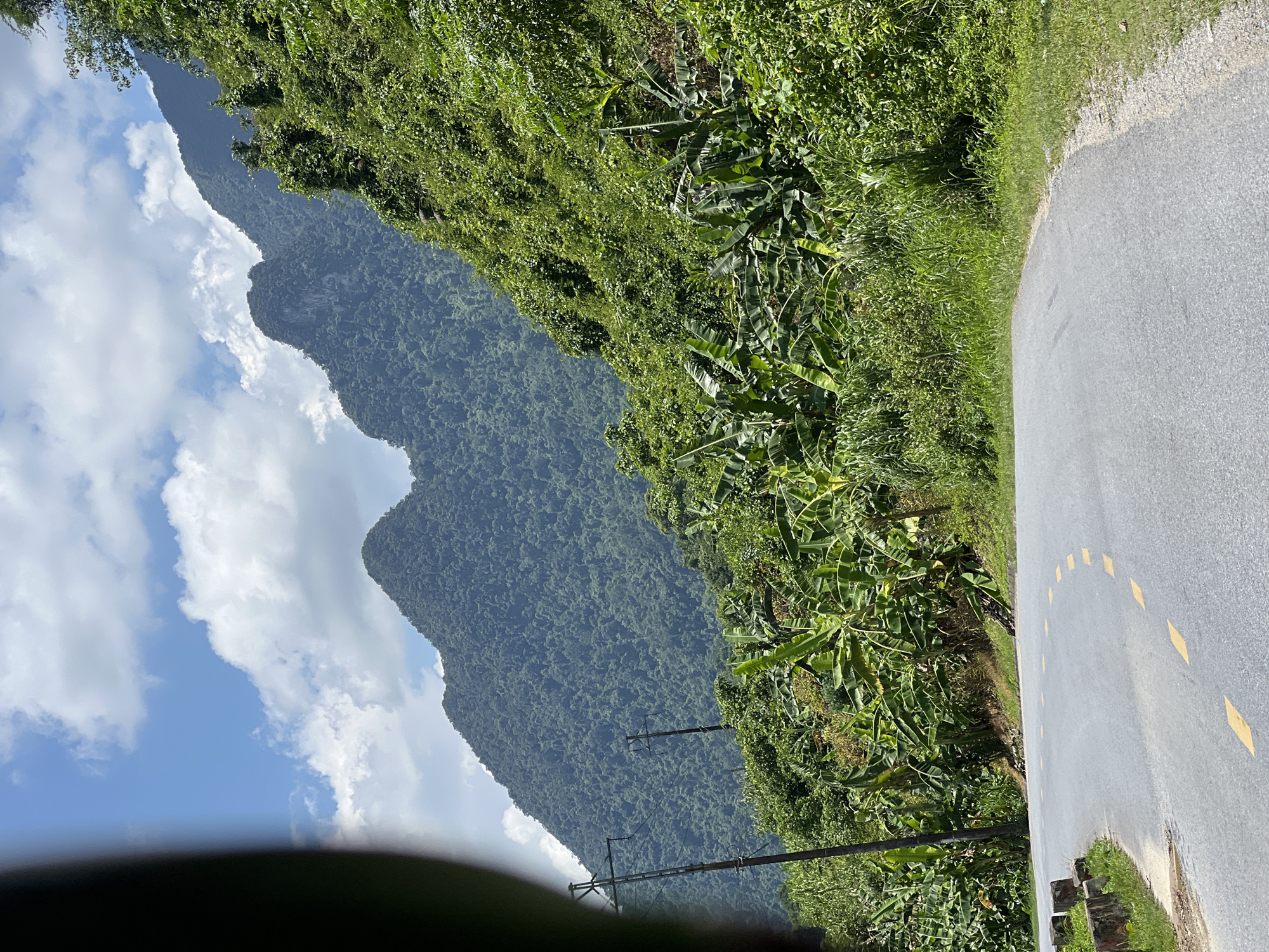 The image captures a winding asphalt road in a rural, mountainous area, likely in Thuận Hòa Commune, Vietnam. The road is marked with intermittent yellow dashed lines. To the left of the road, a concrete barrier and some vegetation are visible, along with two utility poles and overhead wires. The right side of the road is bordered by a steep, densely vegetated hillside covered in lush green foliage, including what appear to be banana trees and other tropical plants. In the background, a large, verdant mountain range dominates the landscape, with its slopes covered in dense forest. The sky above is blue with scattered white cumulus clouds. The overall impression is one of a scenic, natural environment traversed by a man-made road. There are no people visible in the image.
