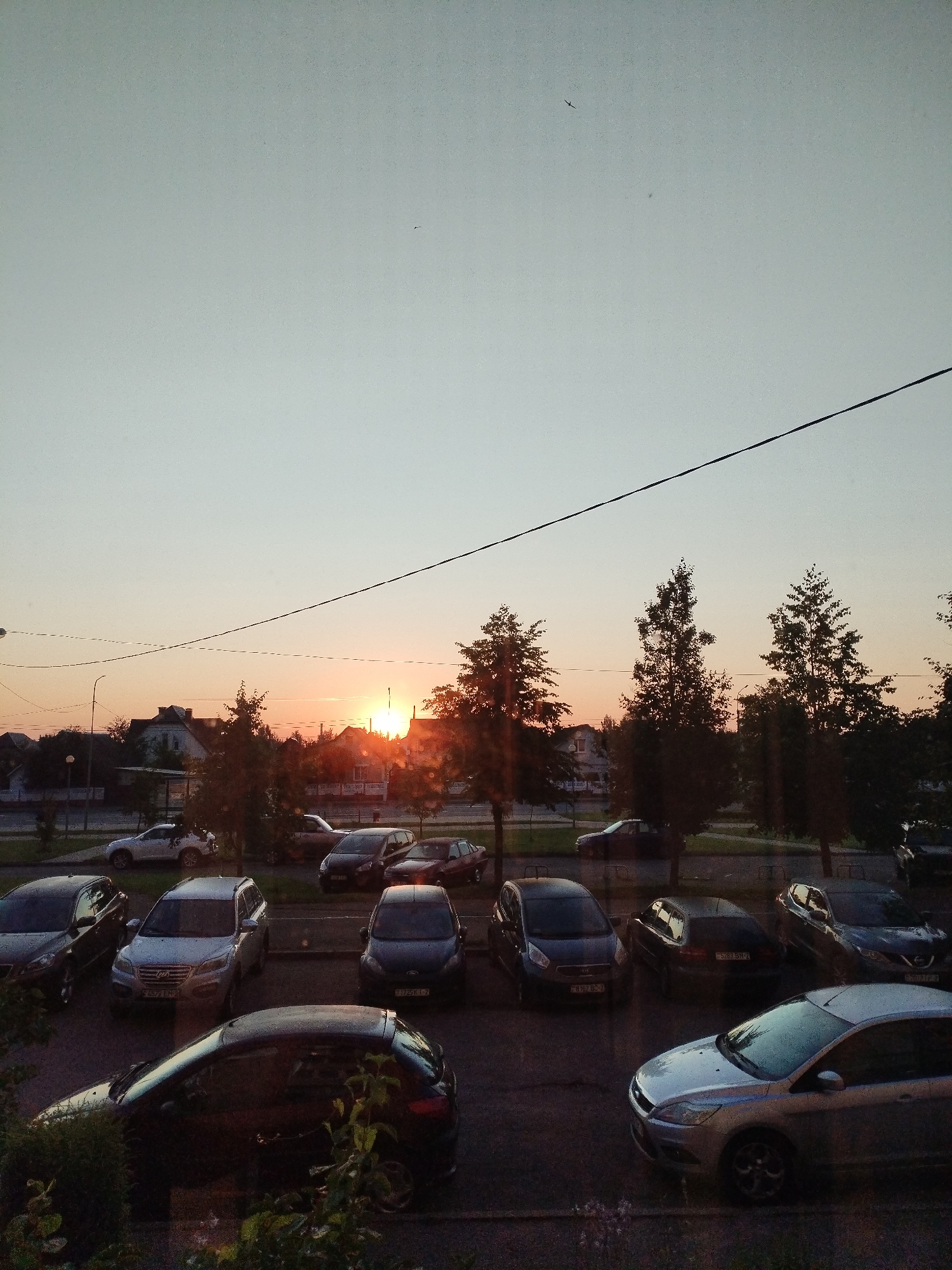 The image depicts a parking lot scene at dusk in Polatsk, Belarus, with the setting sun casting a warm glow. Numerous cars are parked in rows, including sedans, SUVs, and a hatchback. Some of the vehicles appear to be wet, possibly from recent rain or dew. Tall trees with dense foliage line the street or sidewalk in front of the parked cars. In the background, residential buildings with distinct architectural features are visible, and a power line stretches across the frame, with a faint bird or insect in the sky. The overall impression is a quiet urban evening.