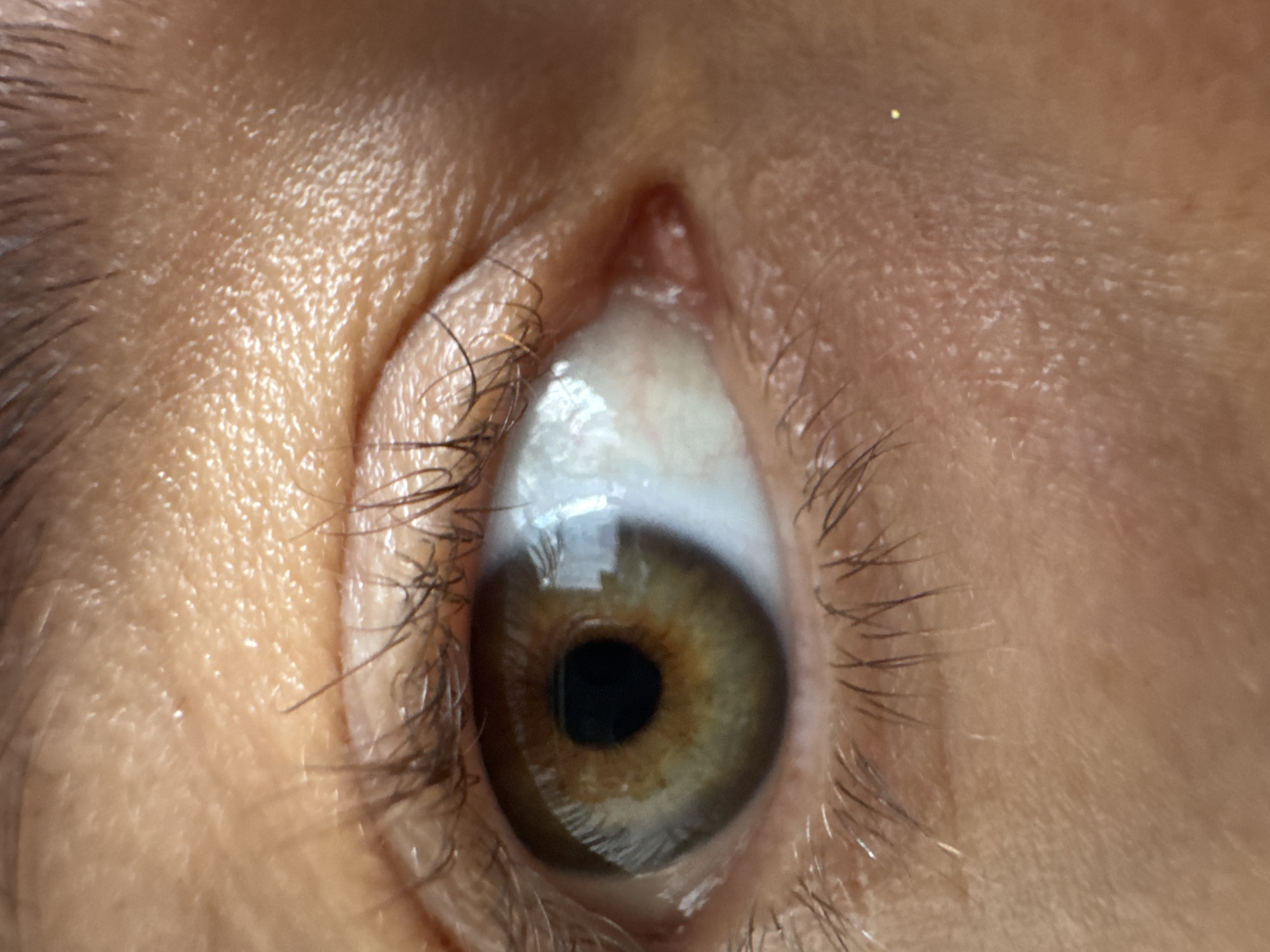 A close-up photograph depicts a human eye with light brown/hazel iris, surrounded by skin and eyelashes. No details indicate a specific location, particularly Kuta Selatan, Indonesia. The scene contains one subject (eye) and no identifiable actions or interactions are visible.