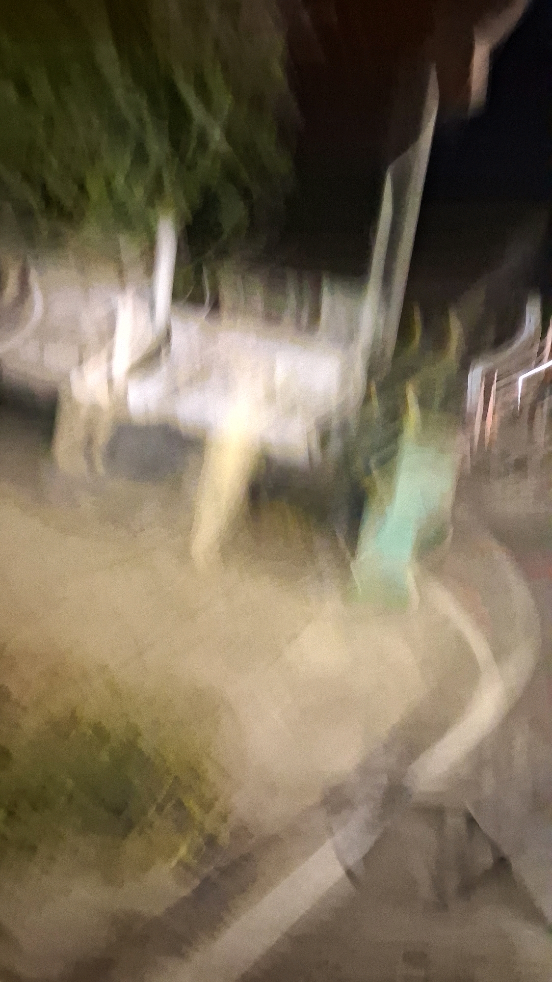 The image is a blurry, out-of-focus, low-light photograph taken at night. The scene appears to be outdoors, possibly in a semi-urban or suburban area. There are hints of vegetation on the left side of the image, with dark green and lighter green foliage visible. A light-colored, possibly concrete or stone, structure is partially visible in the center. In the background, there are faint vertical lines that could indicate a fence or building elements, and a darker area that suggests a structure or the night sky. The ground appears to be paved, with some lighter-colored markings or debris. There are no discernible people or animals in the image, and no clear action is taking place. The overall impression is of a poorly lit, abstract outdoor environment. Given the information provided, it is not possible to determine the specific location in Madurejo, Indonesia.