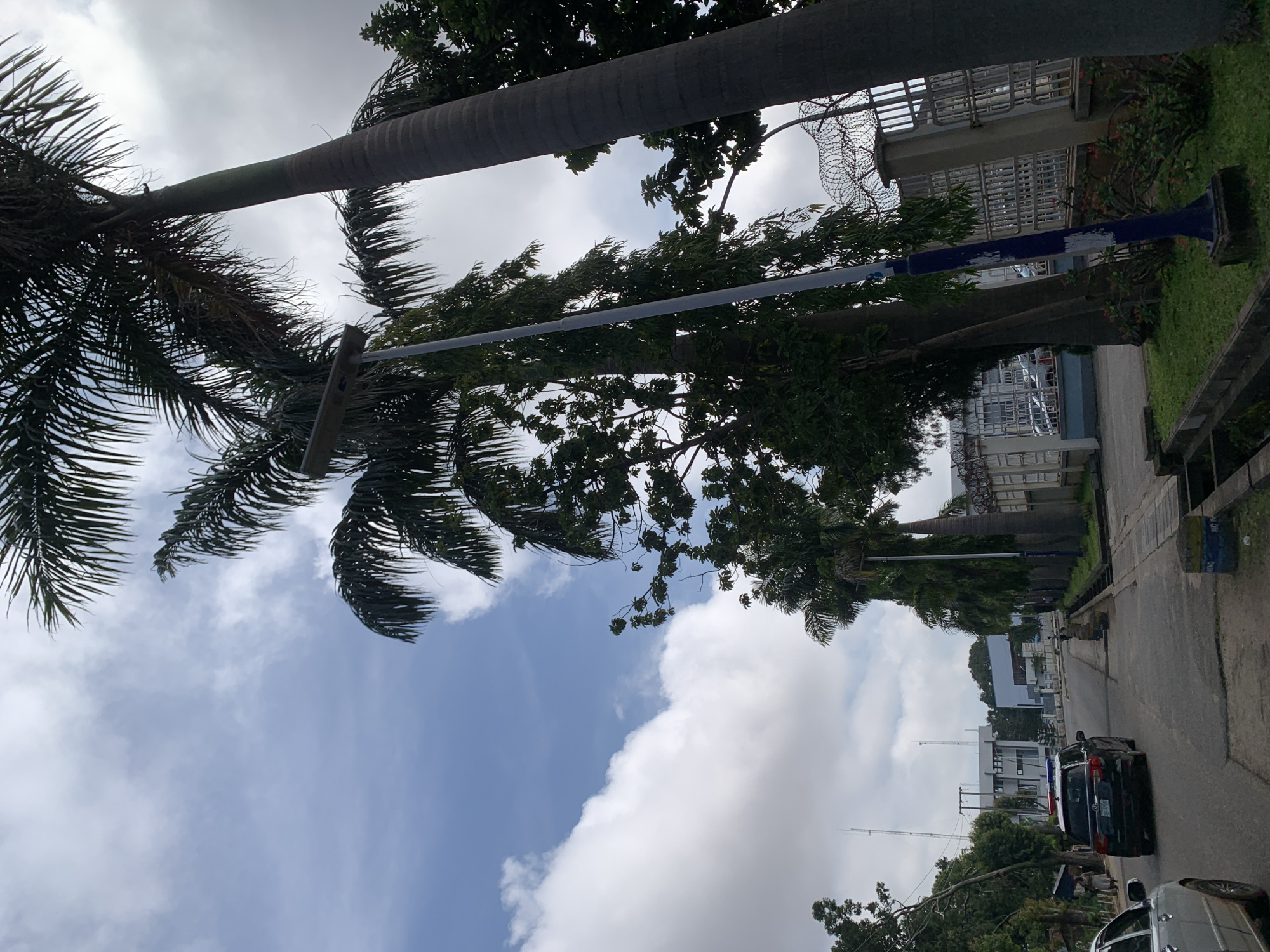 In Jos, Nigeria, a road curves through a tree-lined area with buildings in the background. Palm trees with lush green fronds dominate the right side of the frame, with one particularly tall, slender palm tree in the foreground. A streetlamp with a solar panel is visible between two trees. The road is paved and appears to be in decent condition, with a narrow sidewalk or drainage channel running along the right side.
Several vehicles are present. A black SUV with flashing red and blue lights, indicating it might be a police or security vehicle, is driving away from the camera in the middle of the road. To the left, a silver car is parked or driving slowly. In the distance, several white vehicles are visible parked behind a fence.
A metal fence topped with barbed wire runs along the right side of the road, separating the street from a building complex. The architecture of the buildings appears modern and utilitarian. The sky is partly cloudy with a mix of blue sky and white clouds, suggesting a bright day. A few people are visible on the sidewalk to the left of the road. The overall scene depicts a street in an urban or semi-urban environment with a mix of natural elements and man-made structures.