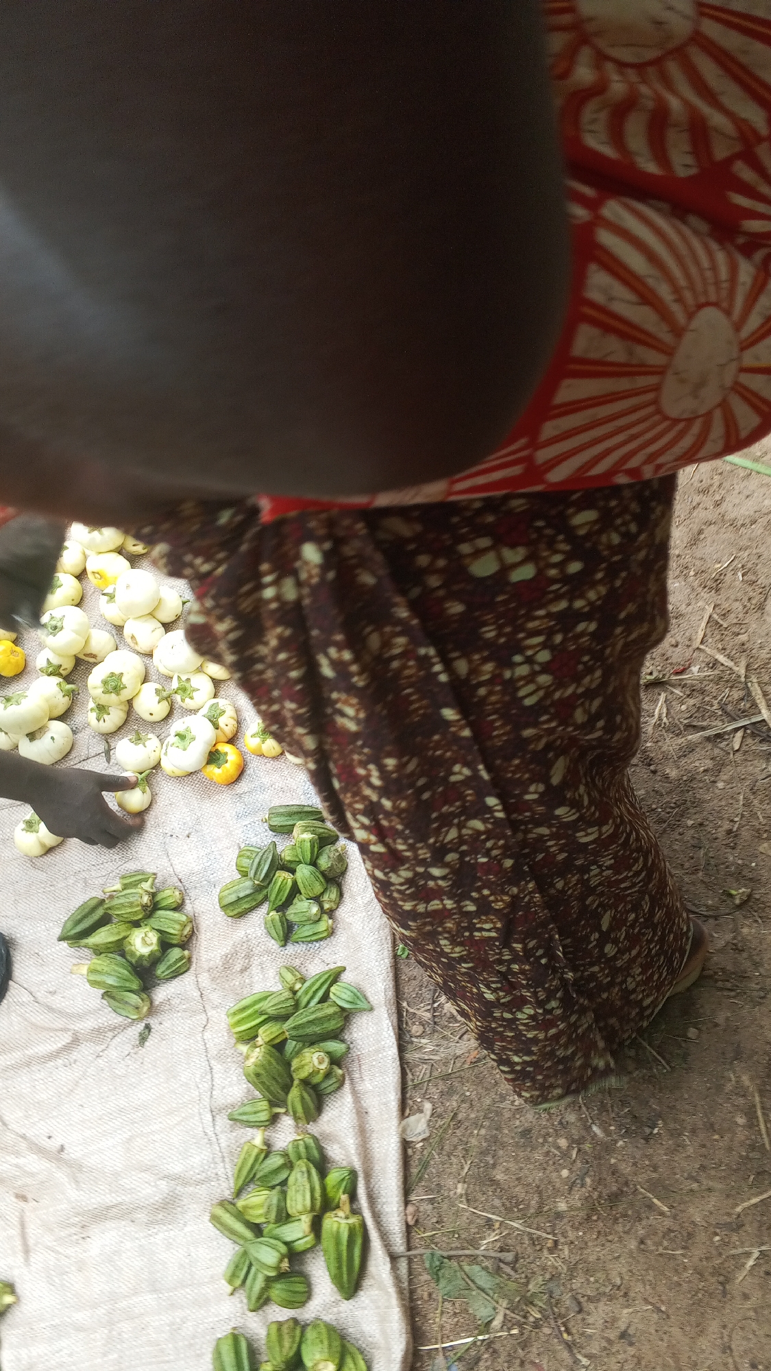 The image depicts a market scene in Nyita, Nigeria, with a close-up view of a person's midsection and legs. The person is wearing a patterned brown skirt and a red and white garment around their upper body. In front of the person, on a light-colored cloth spread on the ground, are several piles of okra. To the left of the okra, there are numerous small, white, round vegetables, possibly a type of tomato or eggplant, with some yellow ones mixed in. A dark-skinned hand is visible, reaching towards one of the white vegetables. The ground appears to be dirt and sand, with some dry grass and twigs scattered around. The lighting suggests an outdoor setting, likely during the daytime.
