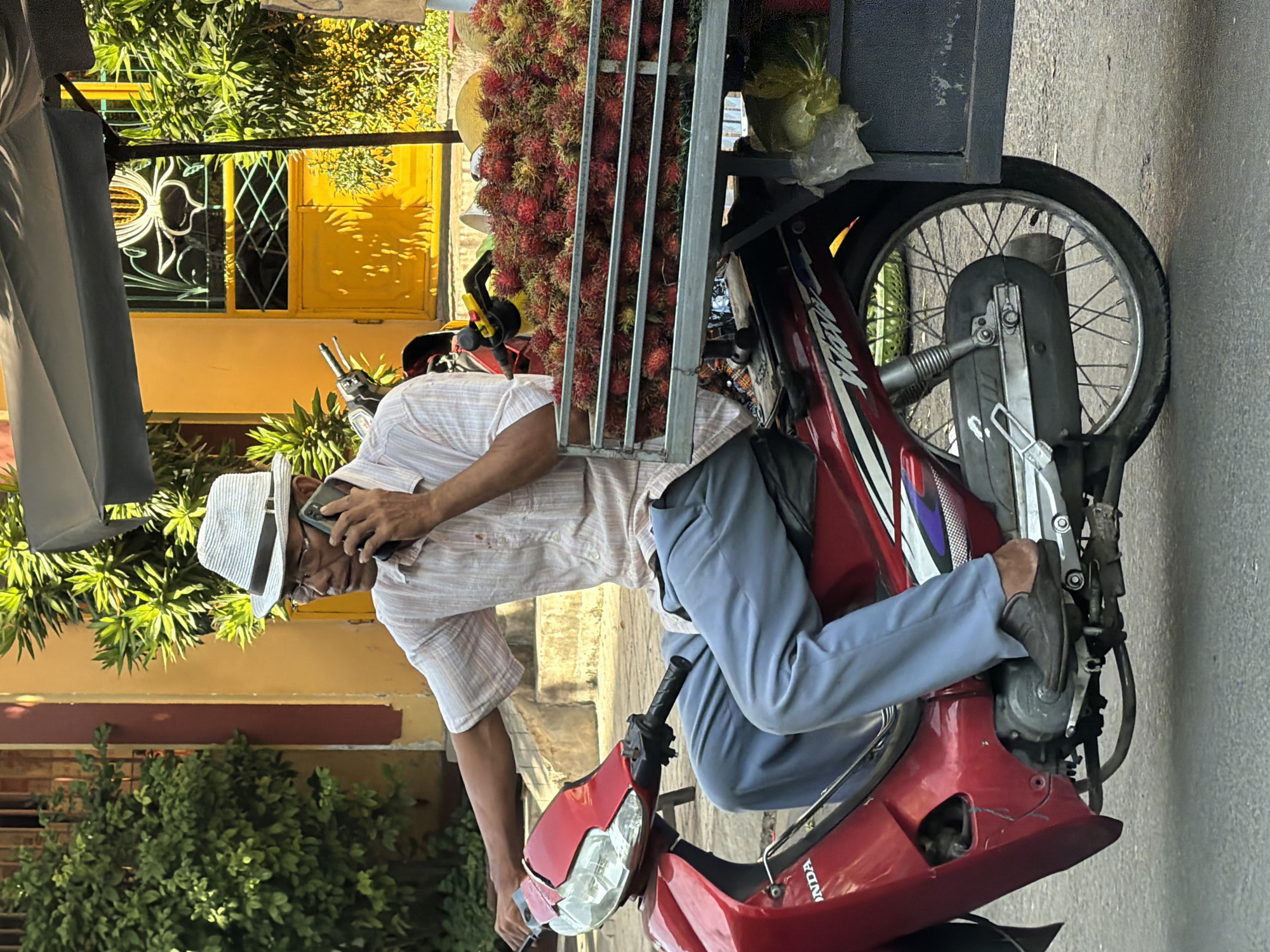 A man wearing a white striped fedora and a short-sleeved, striped collared shirt, blue pants, and dark slip-on shoes is riding a red motorcycle. He is holding a dark smartphone to his right ear with his right hand. The motorcycle has a sidecar loaded with a large quantity of red, spiky rambutan fruit. The man's left arm is extended forward, resting on the motorcycle's handlebars. The motorcycle is red and white with black accents. The sidecar is dark gray and appears to be made of metal. Behind the motorcycle and sidecar, a yellow building with decorative metalwork on a window and a closed yellow door is visible, surrounded by lush green foliage. The scene appears to be on a street in Nha Trang, Vietnam, suggested by the architecture and vegetation. The ground is paved.