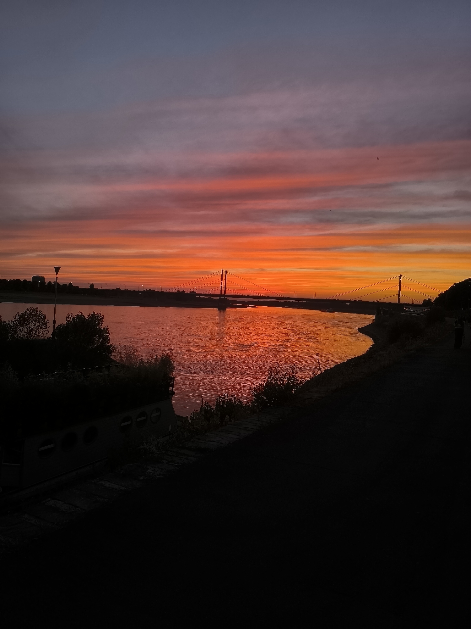 The image captures a vibrant sunset over the Rhine River in Dusseldorf, Germany. The sky is a spectacle of color, transitioning from a deep indigo at the top to fiery oranges and reds near the horizon. Wispy clouds are painted across the sky, catching the last rays of sunlight.
In the foreground, a dark embankment with a paved path slopes down towards the river. A portion of a dark, boat-like structure with circular windows is visible on the left, partially obscured by vegetation.
The Rhine River occupies the middle ground, its surface reflecting the intense colors of the sky, creating a shimmering, reddish-orange expanse. Across the river, the opposite bank is lined with silhouetted trees and buildings. A prominent suspension bridge, a characteristic feature of Dusseldorf's cityscape, spans the river in the distance, its towers and cables outlined against the colorful sky. A few distant lights can be seen on the far bank, indicating the presence of the city.
On the left side of the riverbank, a solitary lamppost stands tall. The overall scene is one of natural beauty enhanced by the urban landscape, with the setting sun casting a warm glow over the iconic Dusseldorf skyline.