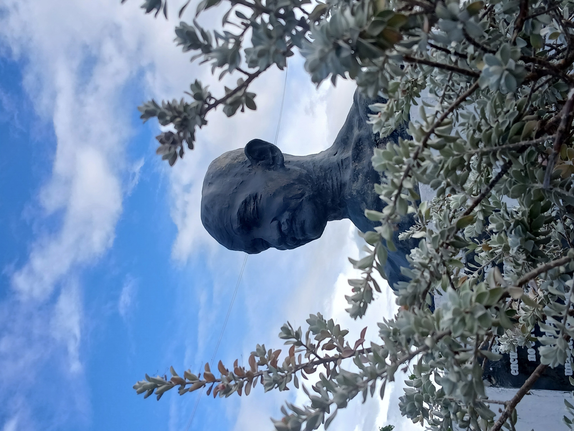 A dark, weathered bust sculpture of a man, likely Mahatma Gandhi, is positioned outdoors under a partially cloudy blue sky. The sculpture, depicting the subject from the chest up, features a head turned slightly right with eyes cast downwards. The foreground is occupied by a dense arrangement of foliage with light green-silver, oval-shaped leaves on woody branches, partially obscuring the lower and side portions of the bust. Below the bust and behind the foliage, a dark rectangular sign or plaque displays partial white text, including "encuentro" and "no," against a light-colored wall or base. Thin utility wires are visible spanning the sky in the upper background. The location is identified as Plaza Gandhi, Puerto Ordaz, Ciudad Guayana, Venezuela.