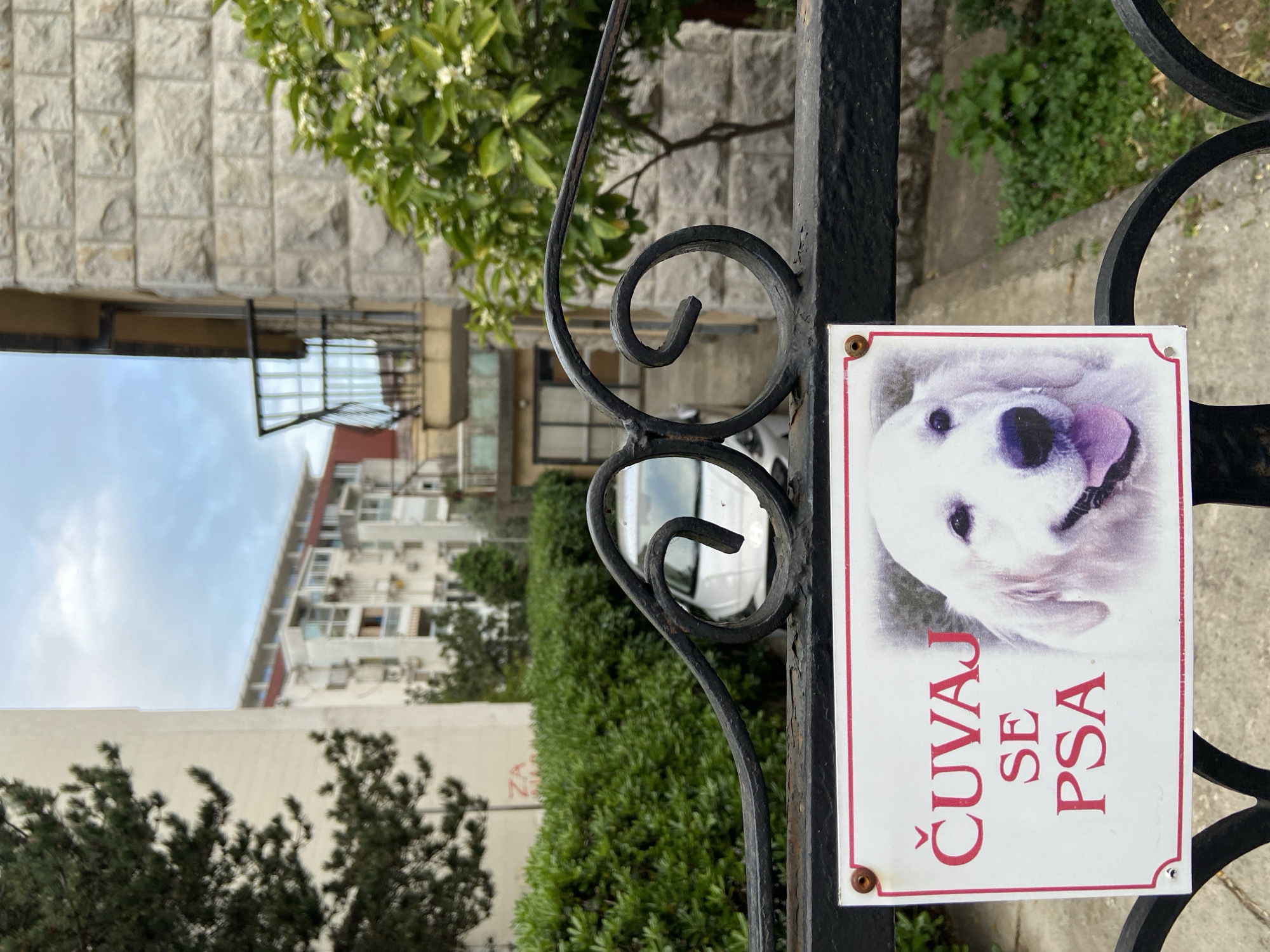The image shows a "ČUVAJ SE PSA" ("Beware of the dog") sign hanging on a wrought-iron gate in Budva, Montenegro. The sign features a picture of a white dog. The background includes a stone building, trees, bushes, and residential buildings.
