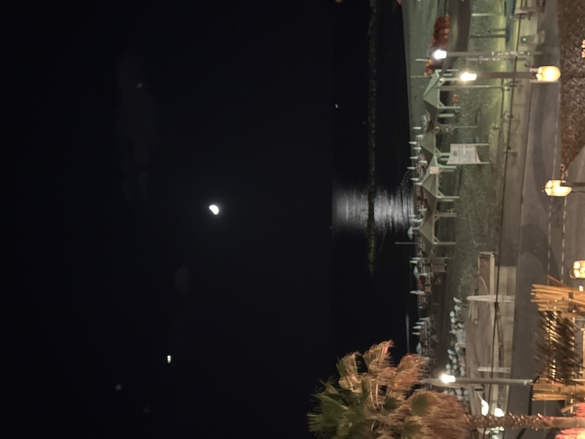 The image captures a serene nighttime view of a coastal area, likely in Tel-Aviv, Israel. The scene is dominated by a vast expanse of dark water on the left, illuminated by the distinct glow of a crescent moon positioned in the upper left quadrant. The moon's light creates a noticeable, shimmering reflection path stretching across the water towards the viewer.
On the right side of the frame, a developed shoreline or promenade is visible, illuminated by several streetlights or decorative lamps that emit a warm, yellow-orange light. Along this waterfront, multiple light-colored structures, possibly beach umbrellas, cabanas, or shaded seating, are neatly arranged, suggesting a beach or resort environment. The foreground on the right features the distinctive fronds of a palm tree, reinforcing the coastal setting.
The sky is clear, and the overall atmosphere is tranquil and peaceful, devoid of any discernible human activity, which suggests a late hour. No text is visible in the image.
